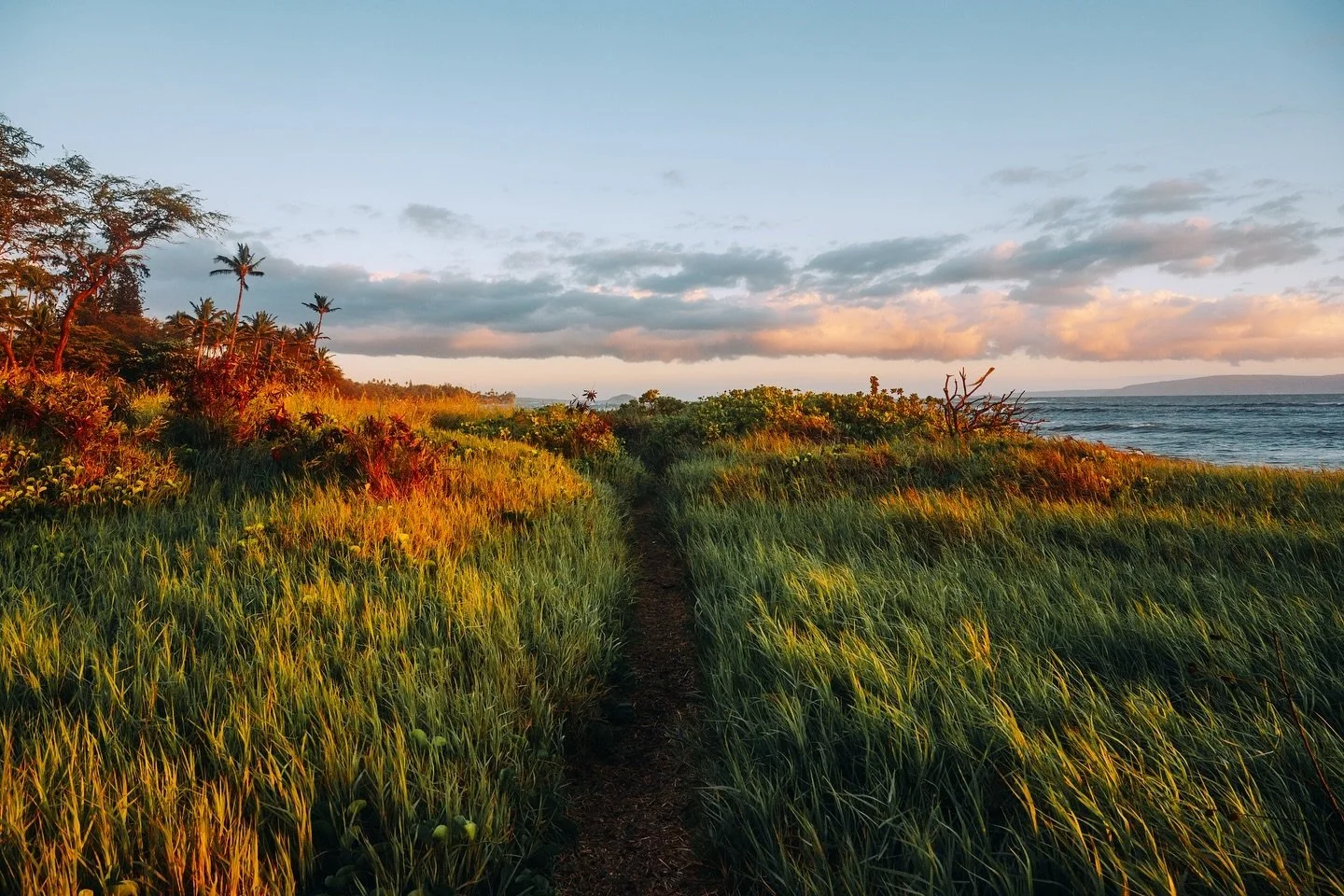 Wenn der Herbst einschl&auml;gt, an die Sonne denken. 

#hawaii