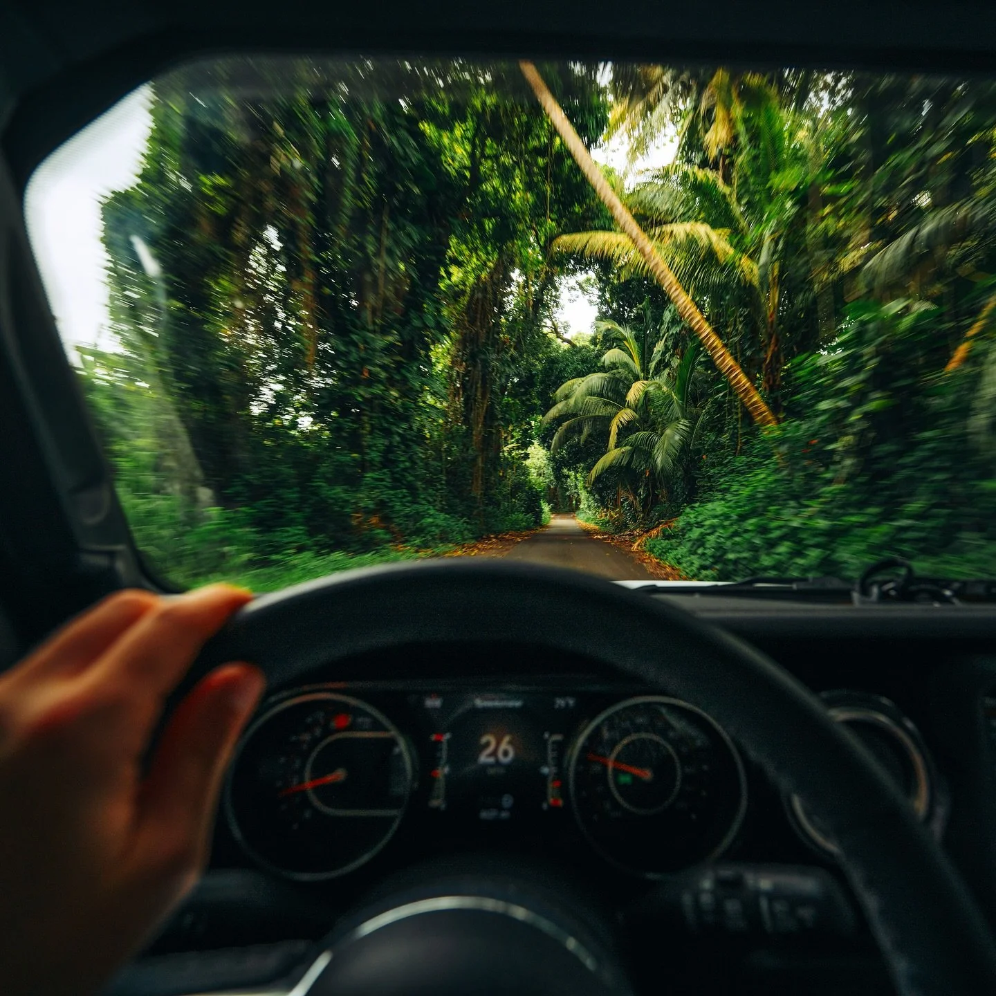 Regenwaldstrassen, f&uuml;r die Locals einfach nur der weg zur Arbeit. 

#hawaii