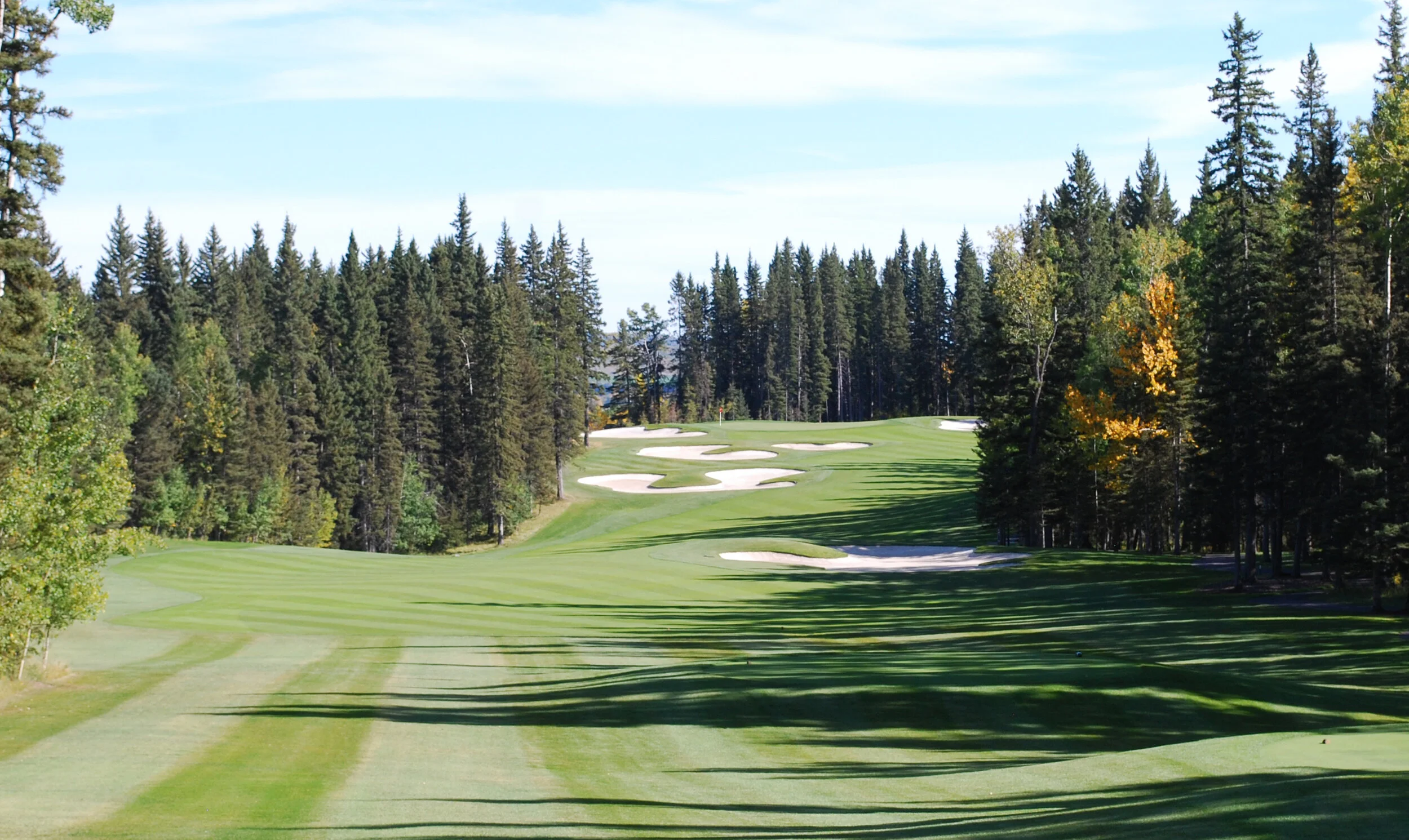 Priddis Greens Golf & Country Club Hawk Course Renovation — ground cubed