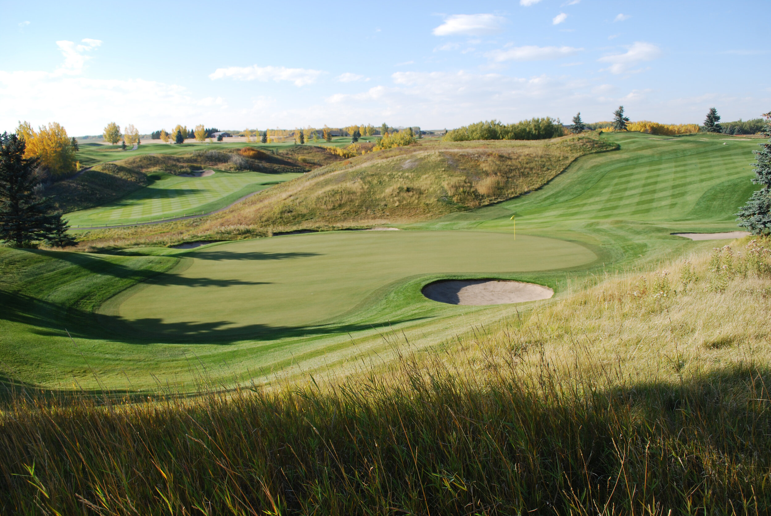 D'Arcy Ranch Golf Club - Green Renovation Project — ground cubed