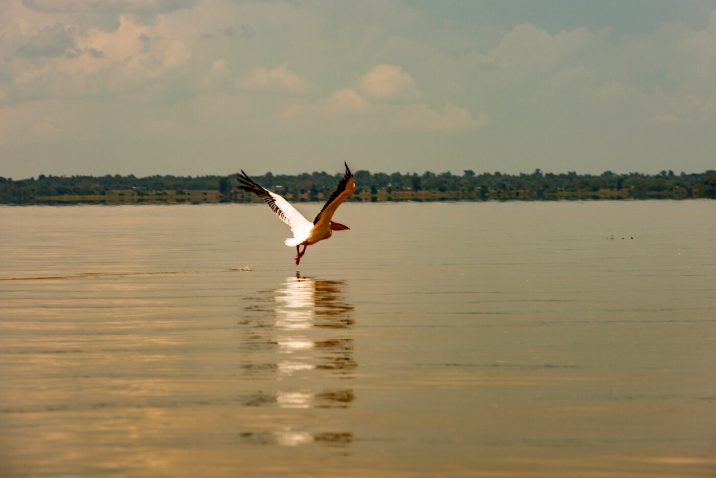 20141020_00290.jpg