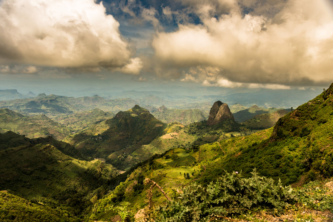 20141021_01260-2.jpg