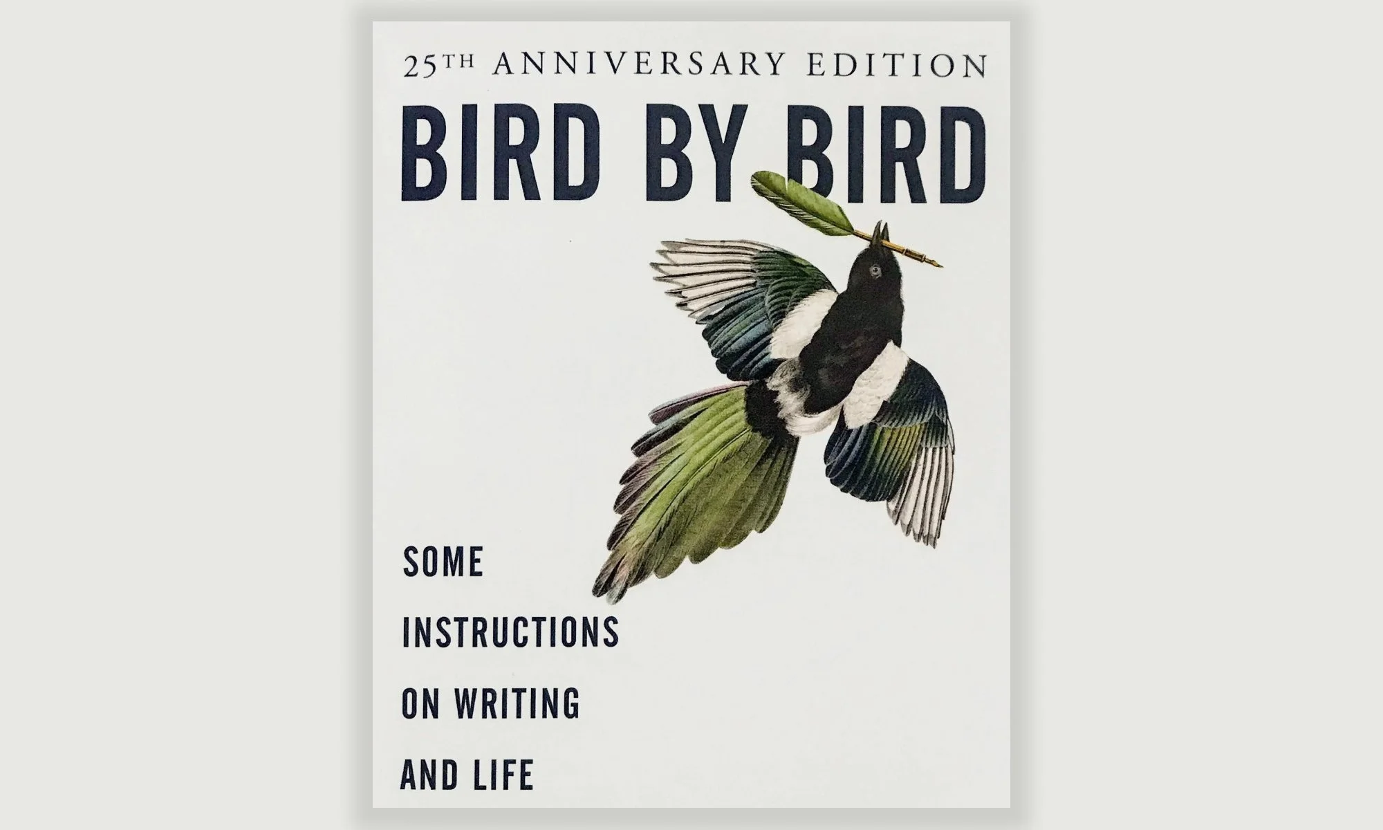 Bird By Bird Some Instructions On Writing And Life