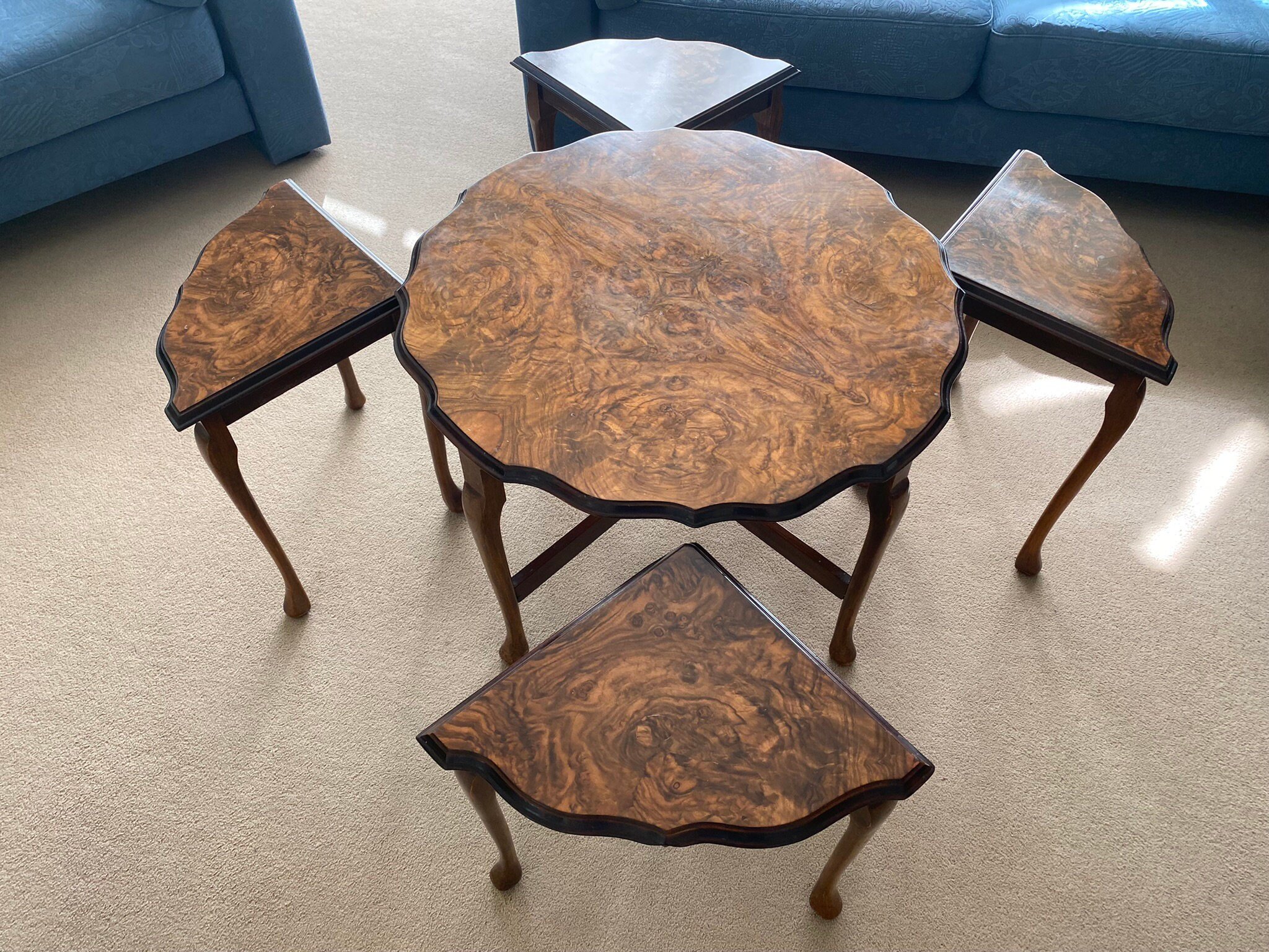 https://i.etsystatic.com/11230629/r/il/6e782e/4761628260/il_fullxfull.4761628260_6cz4.jpg