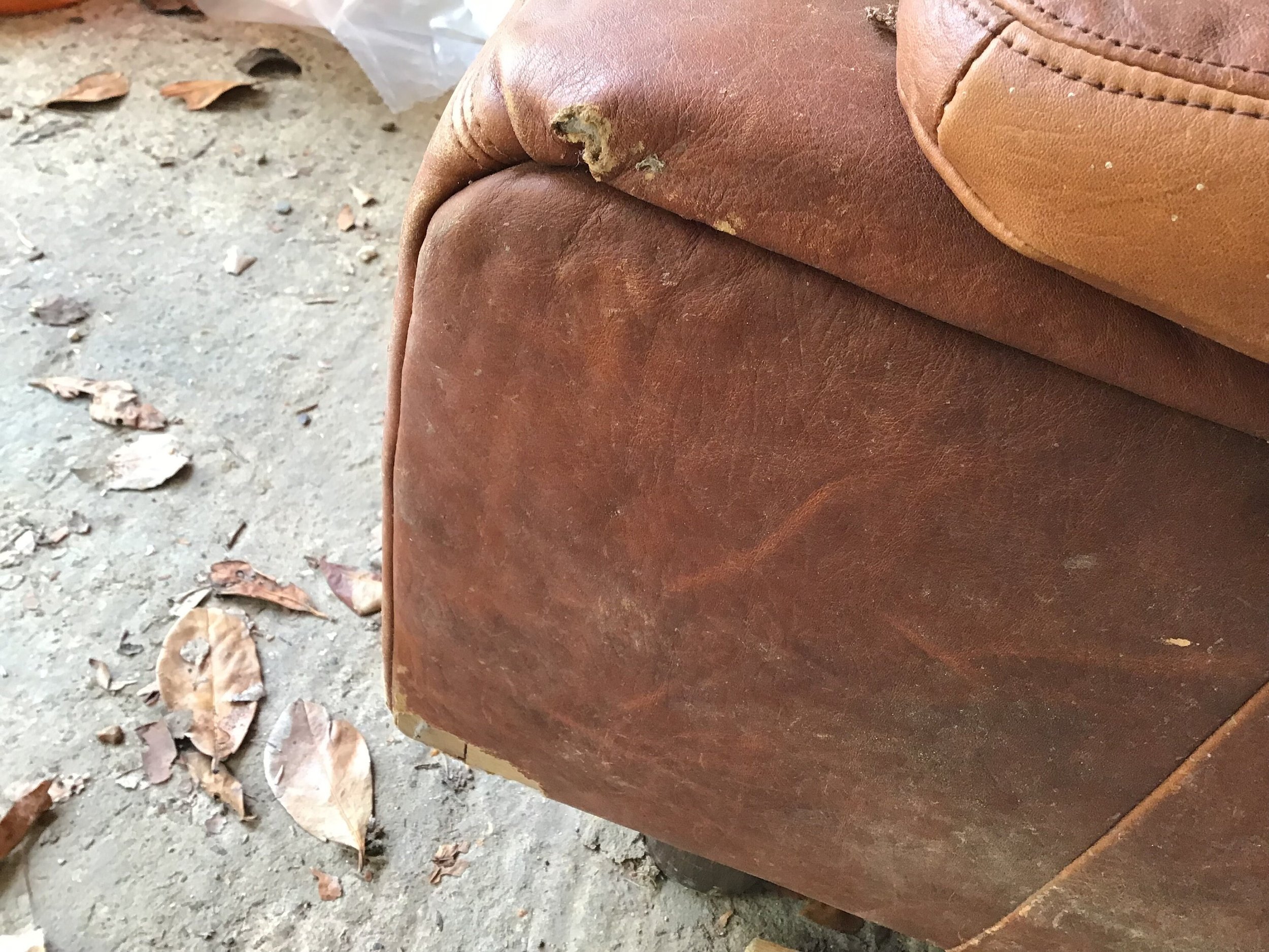 https://i.etsystatic.com/11230629/r/il/91e2c9/4880792695/il_fullxfull.4880792695_lmpt.jpg