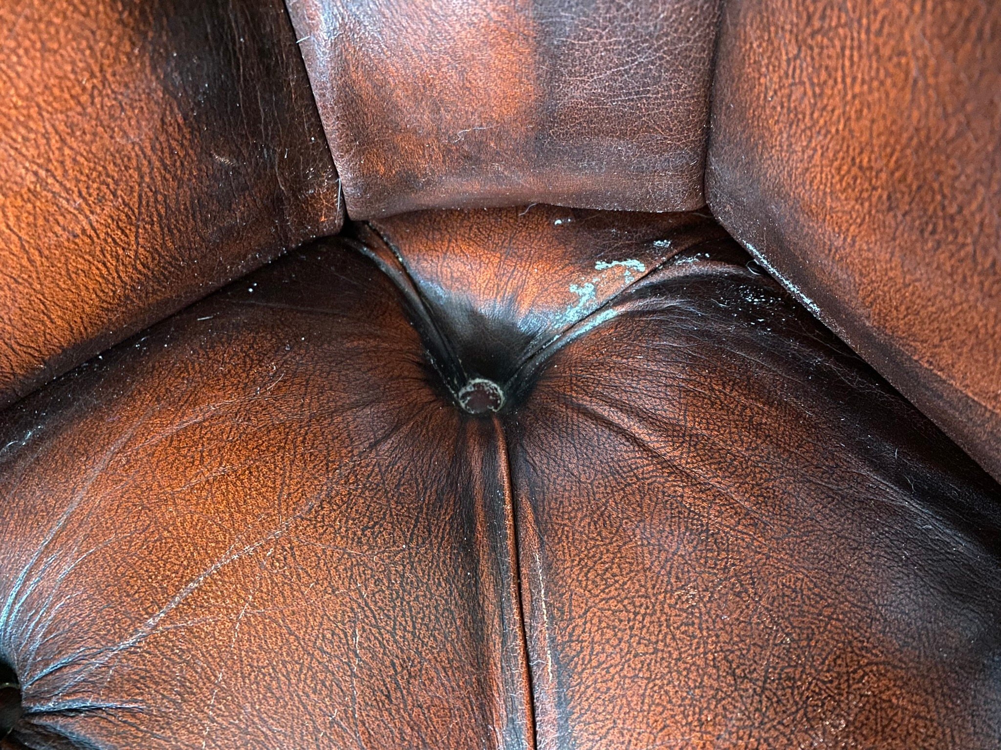 https://i.etsystatic.com/11230629/r/il/c4a9f3/4940491978/il_fullxfull.4940491978_f44l.jpg