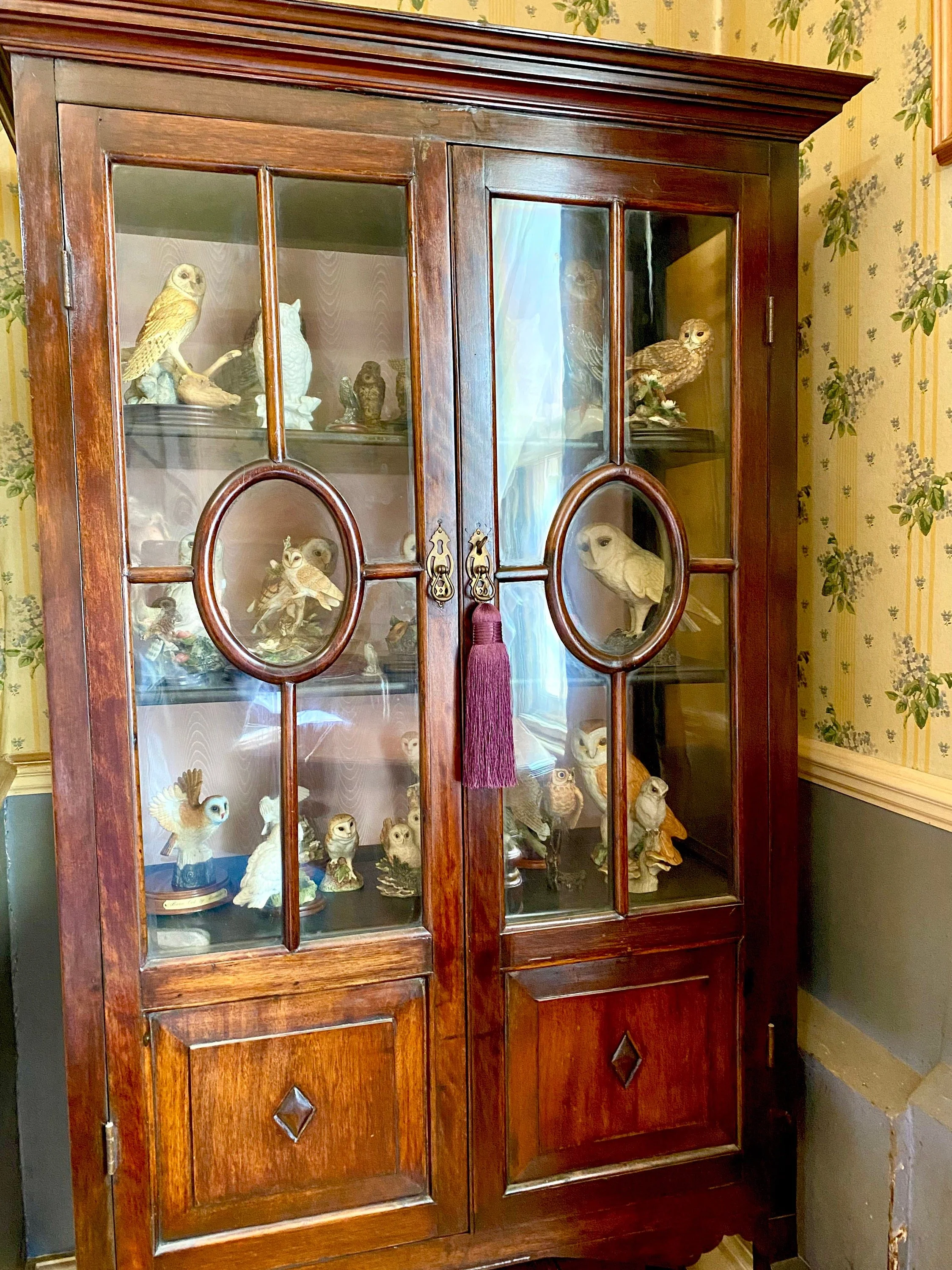 Edwardian mahogany display cabinet