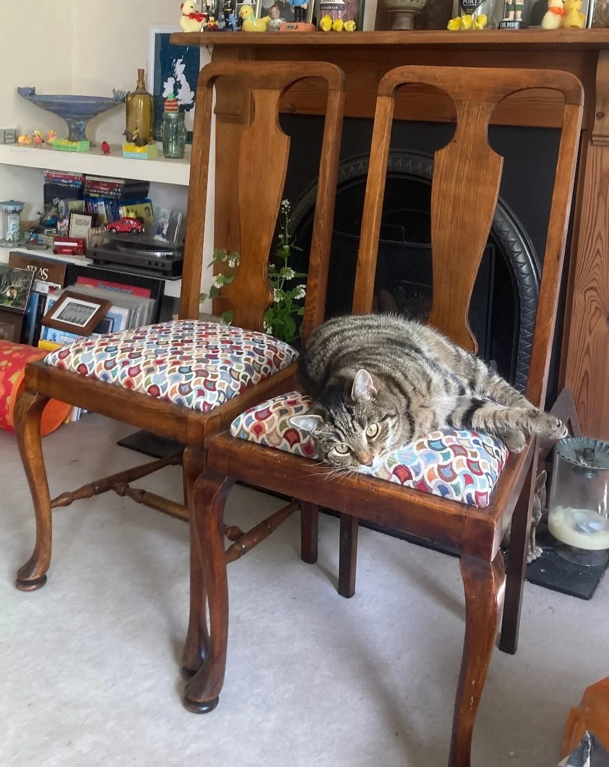 Another happy customer. He thinks the chairs are purrfect 😻🙄😂

www.myvintagemarket.co.uk

#myvintagemarket #vintageshop #hertfordshire