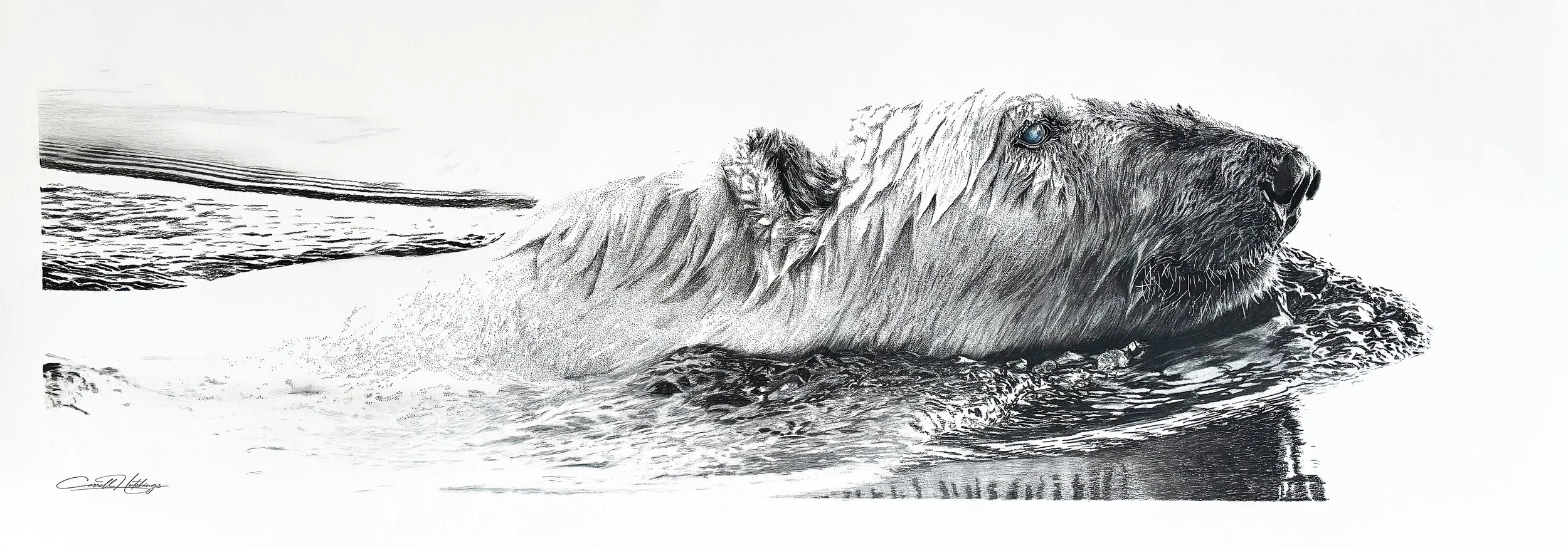 How Wildlife Art Helps Protect Endangered Species
