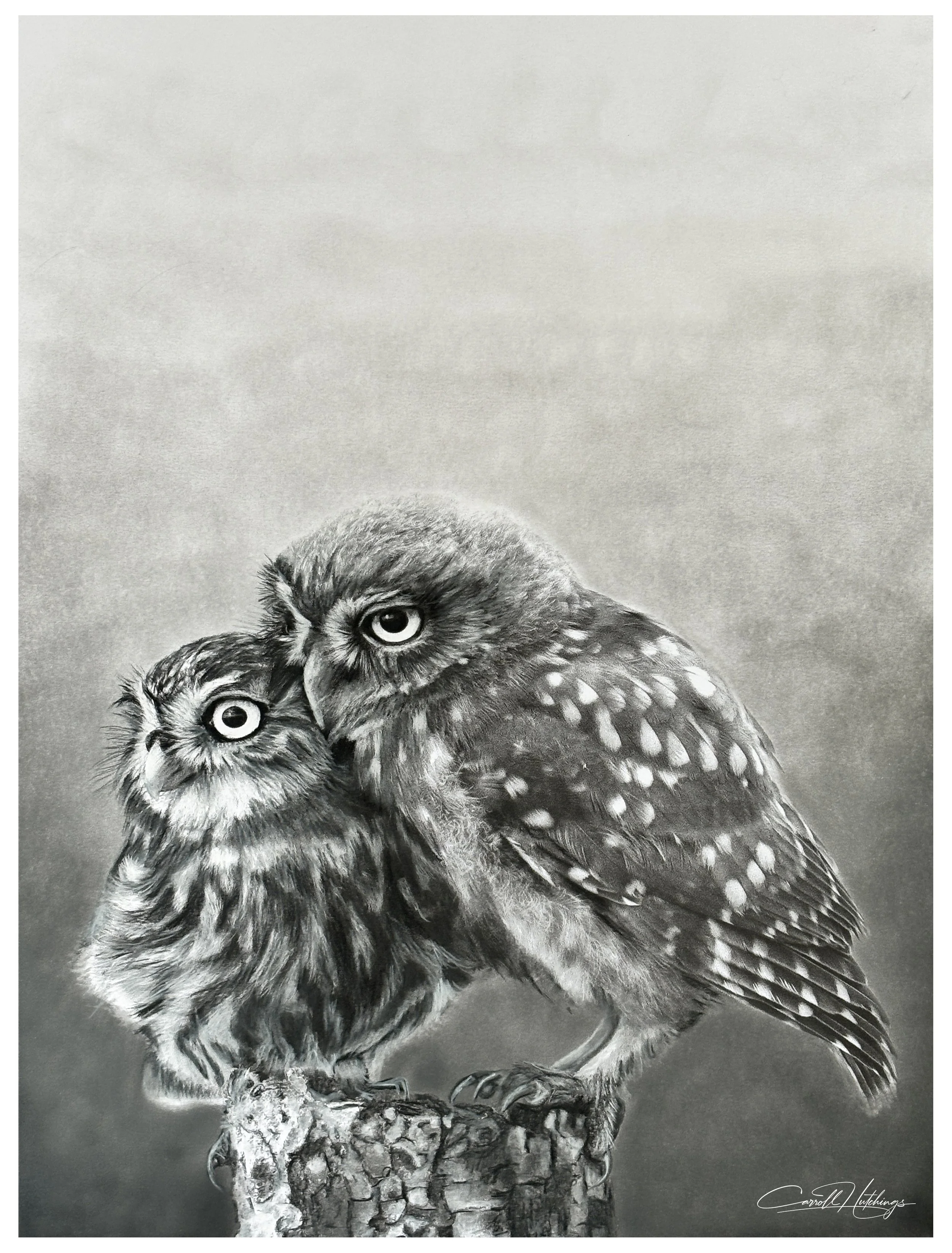 Endangered Inks Nature's Gentle Guardians.jpg