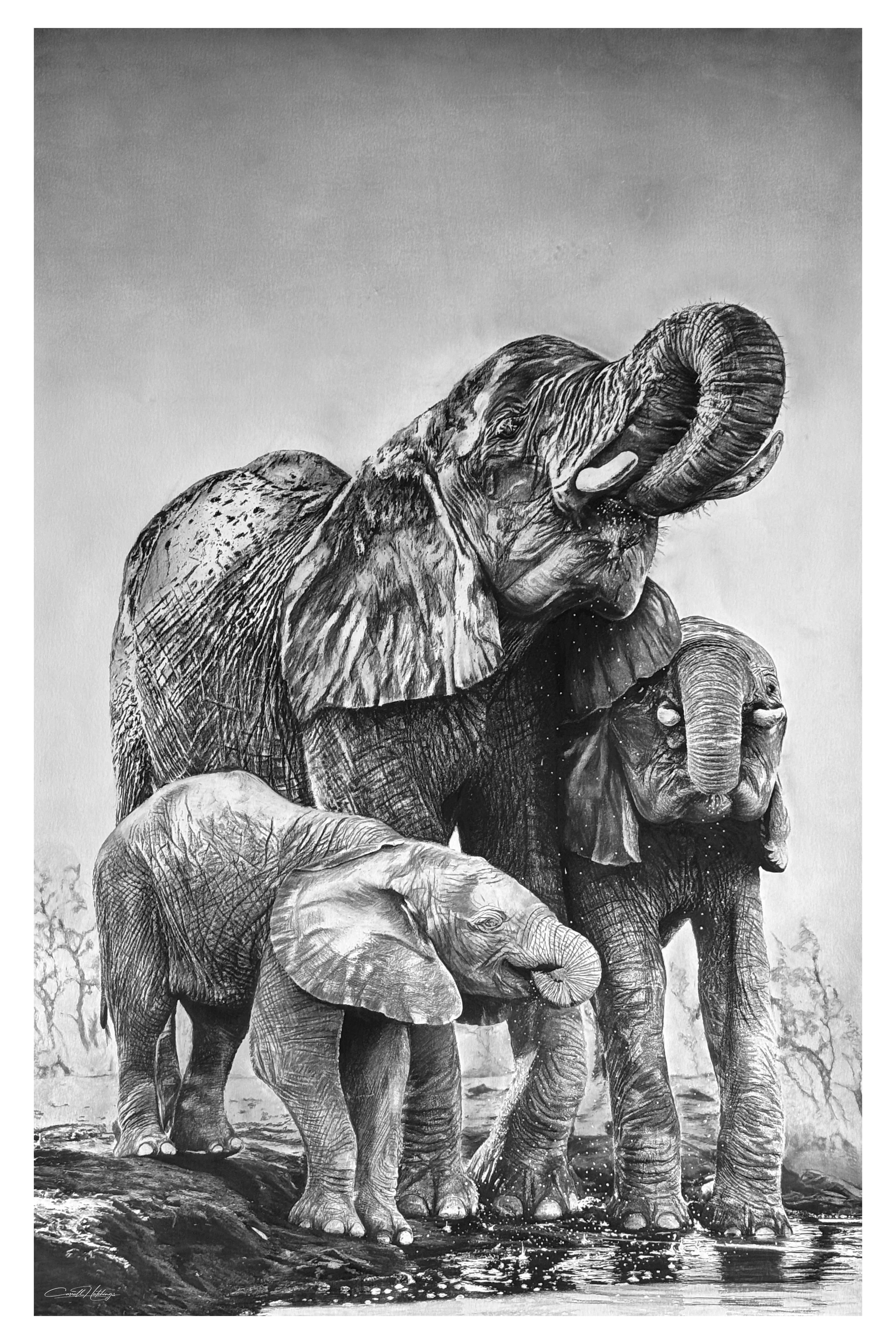 Endangered Inks First Rains.jpg