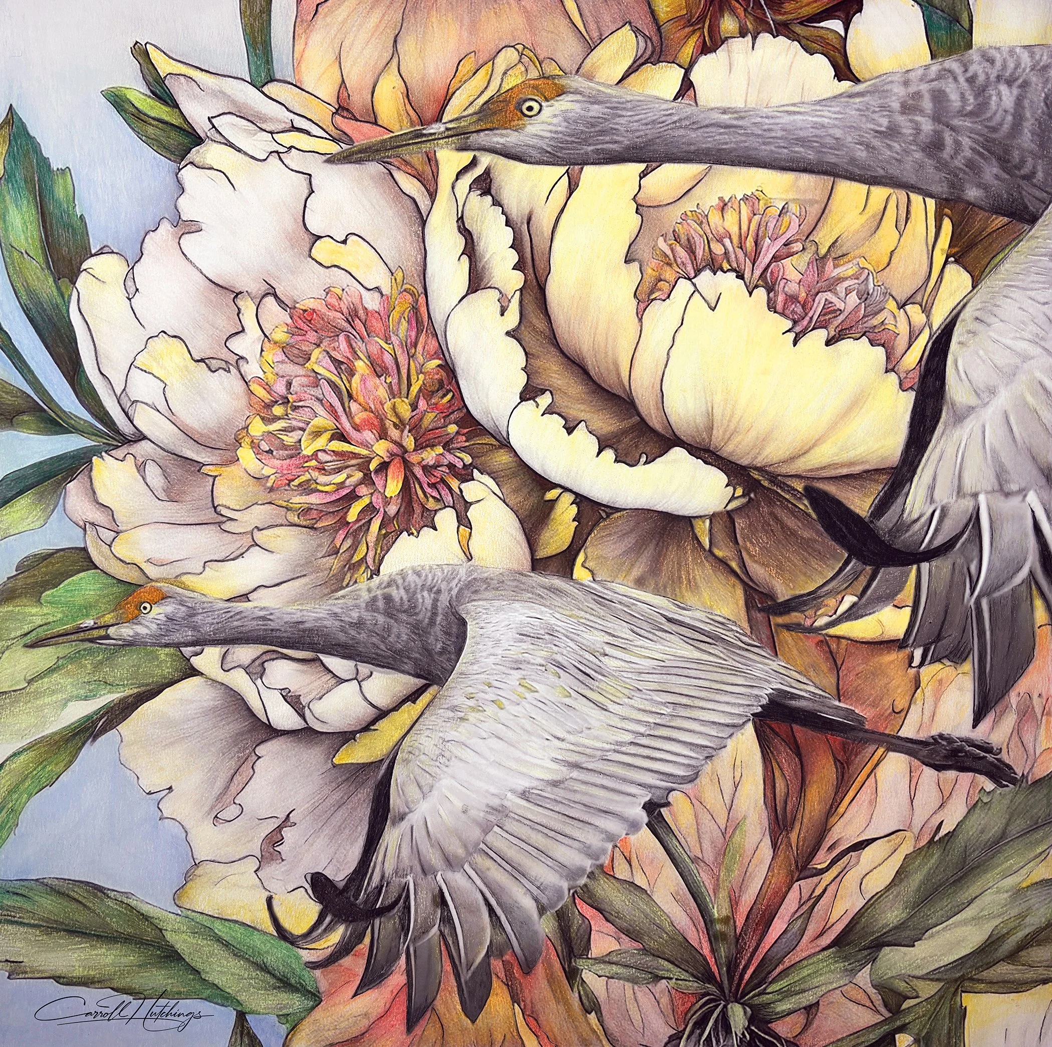 Wild Peonies Sand Stork web.jpg