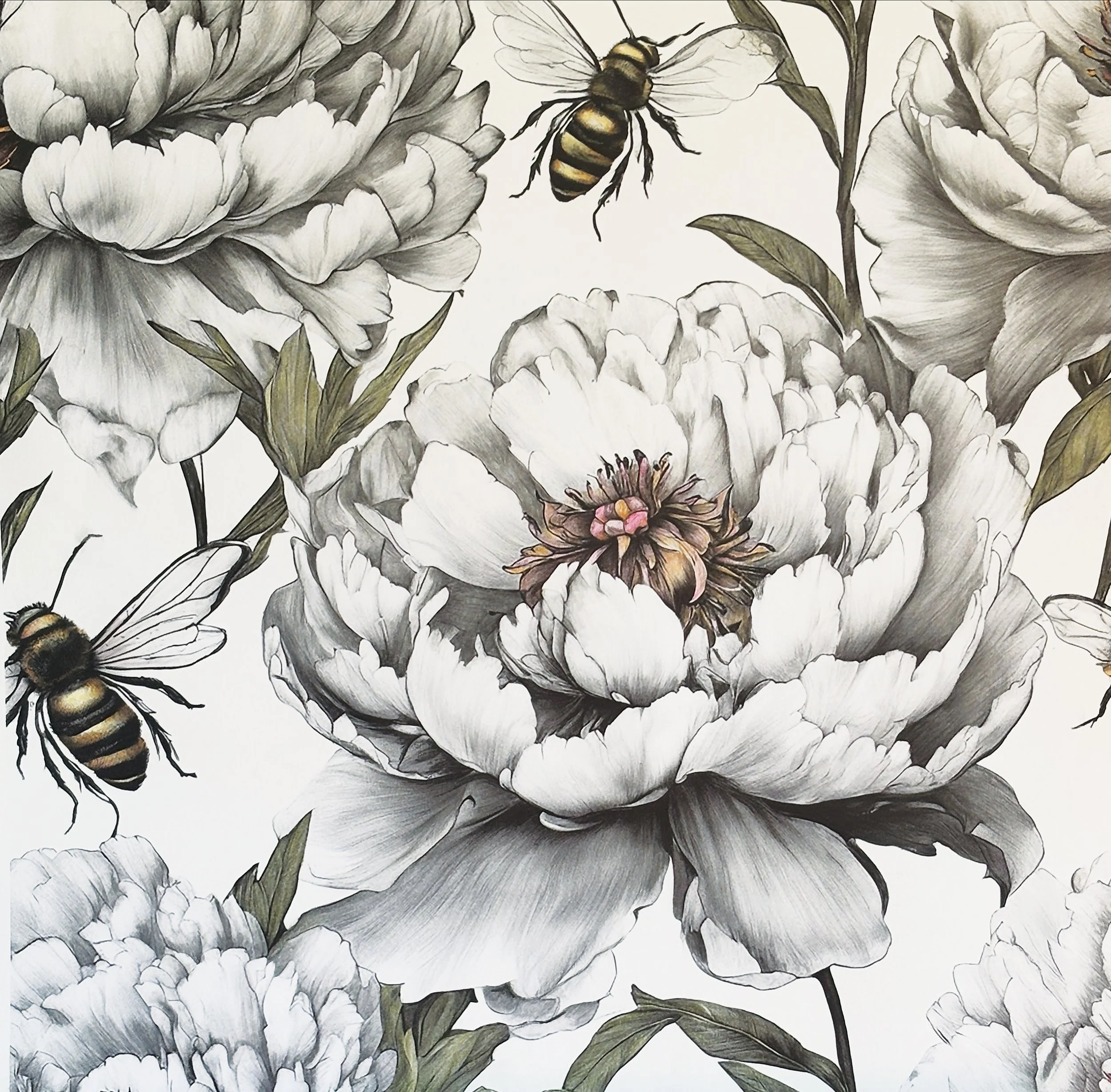 Bees and Blooms A Monochrome Dance (web).jpg