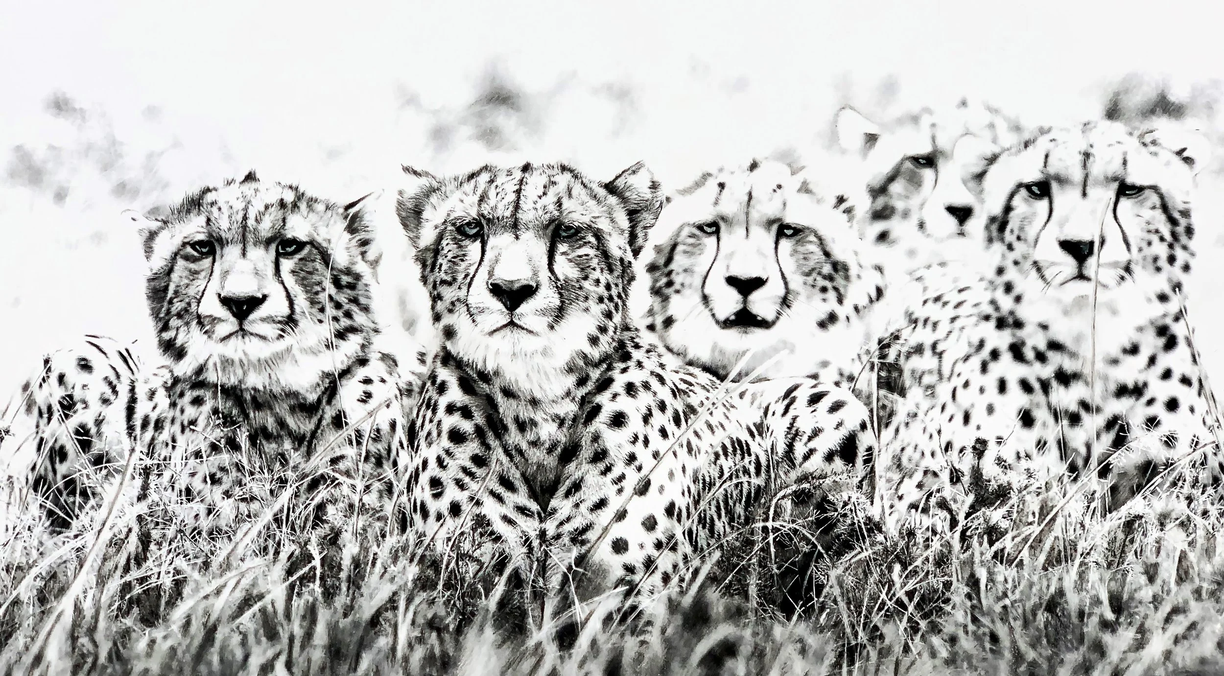 Art as Activism: When Creativity Becomes Conservation