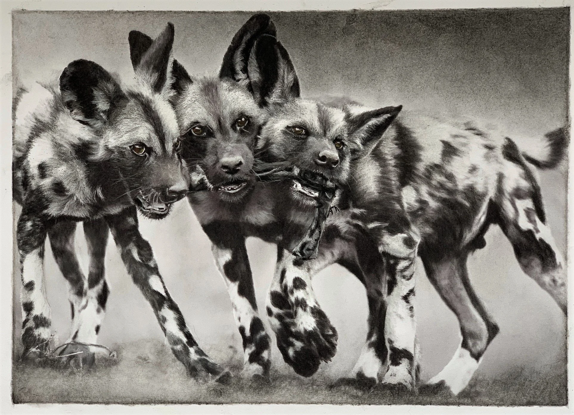 Endangered Inks PUPS PLAYING IN THE RAIN.jpg