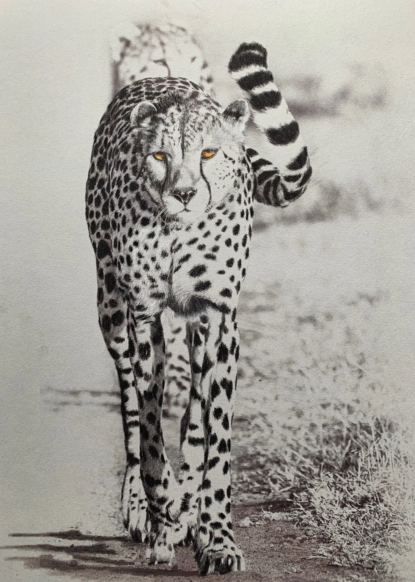 Endangered Inks Walk about.jpg