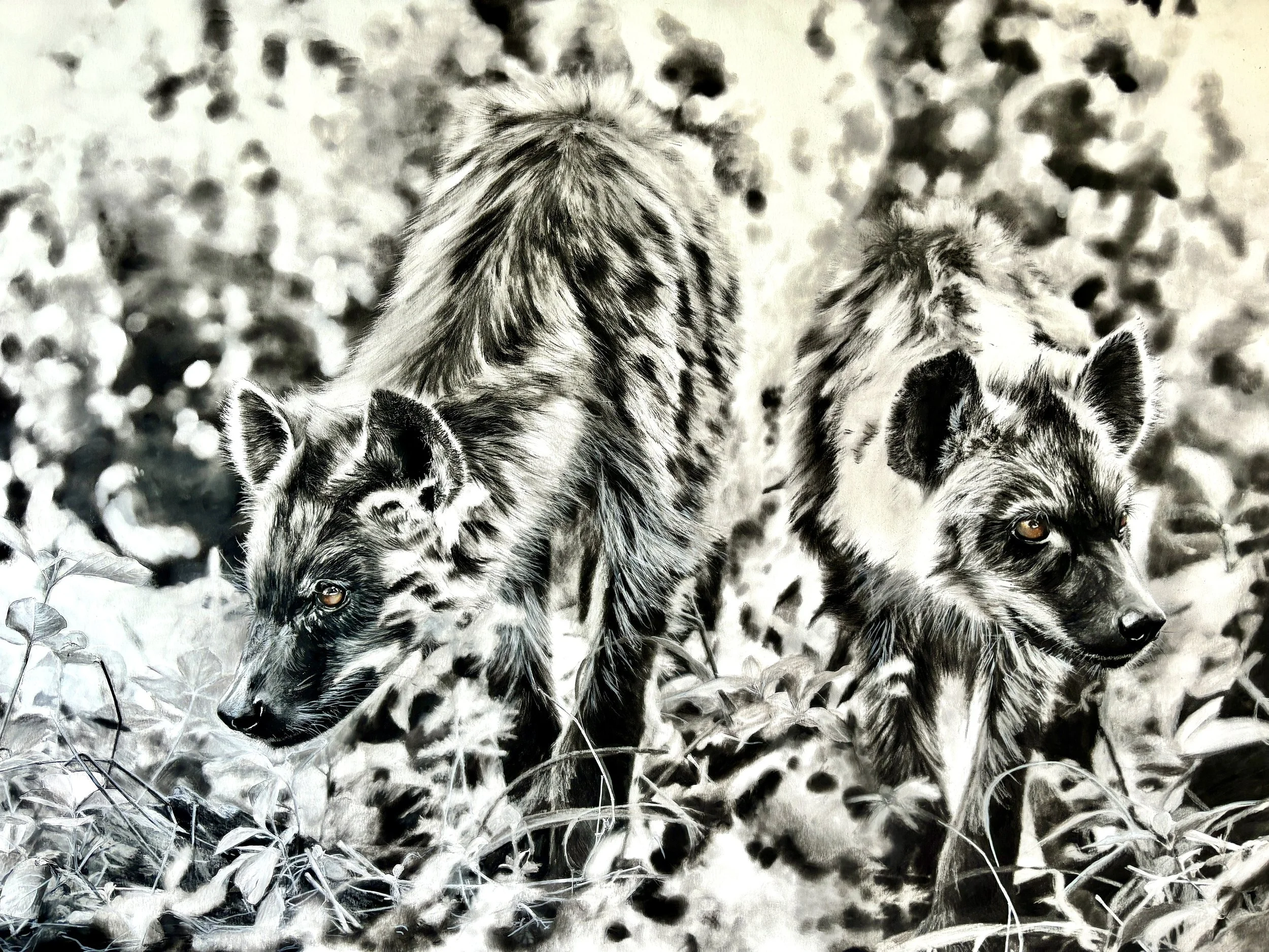 endangered inks hyenas exploring.jpg