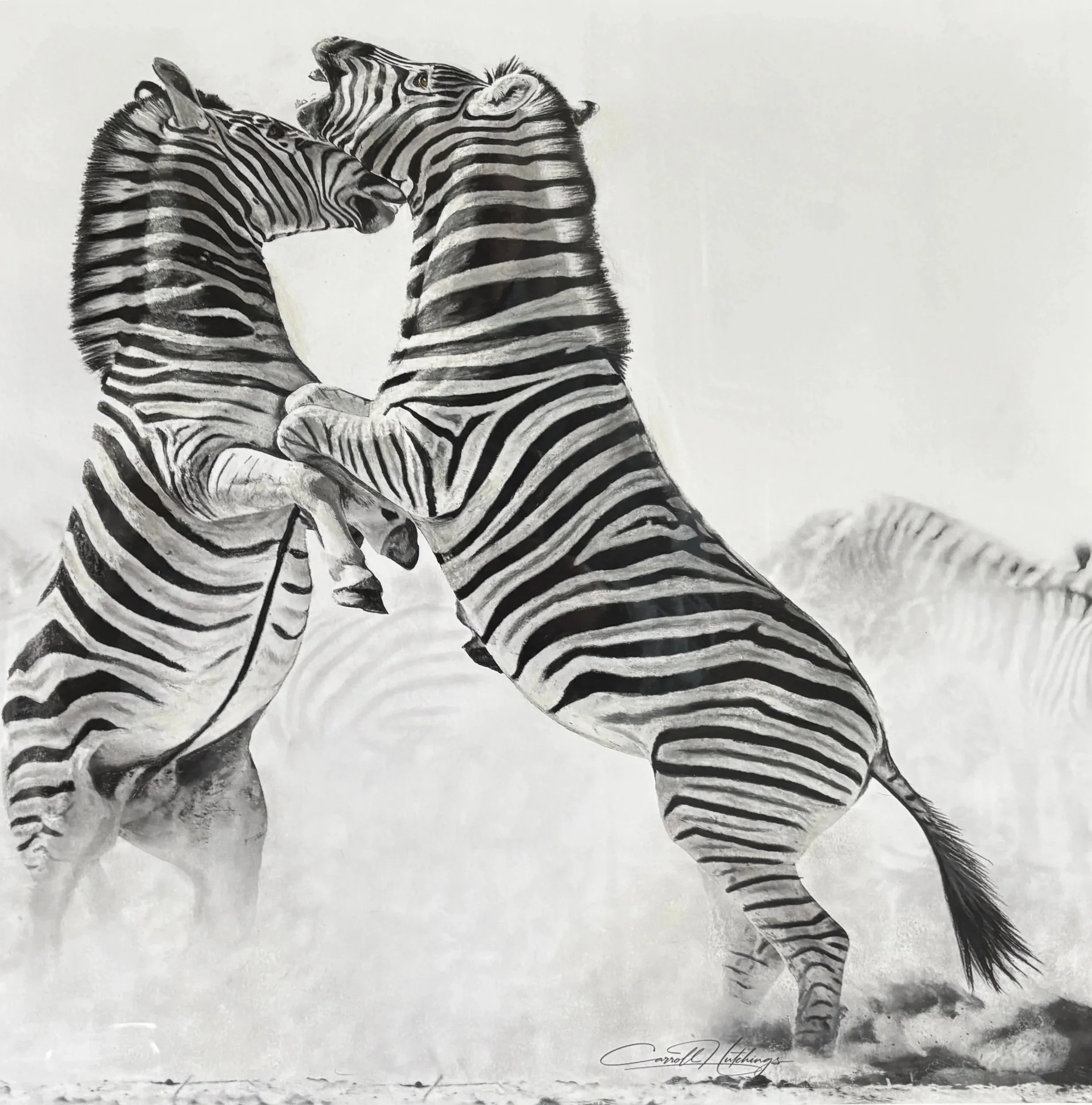 EI%2BDANCE%2BOF%2BZEBRAS.jpg