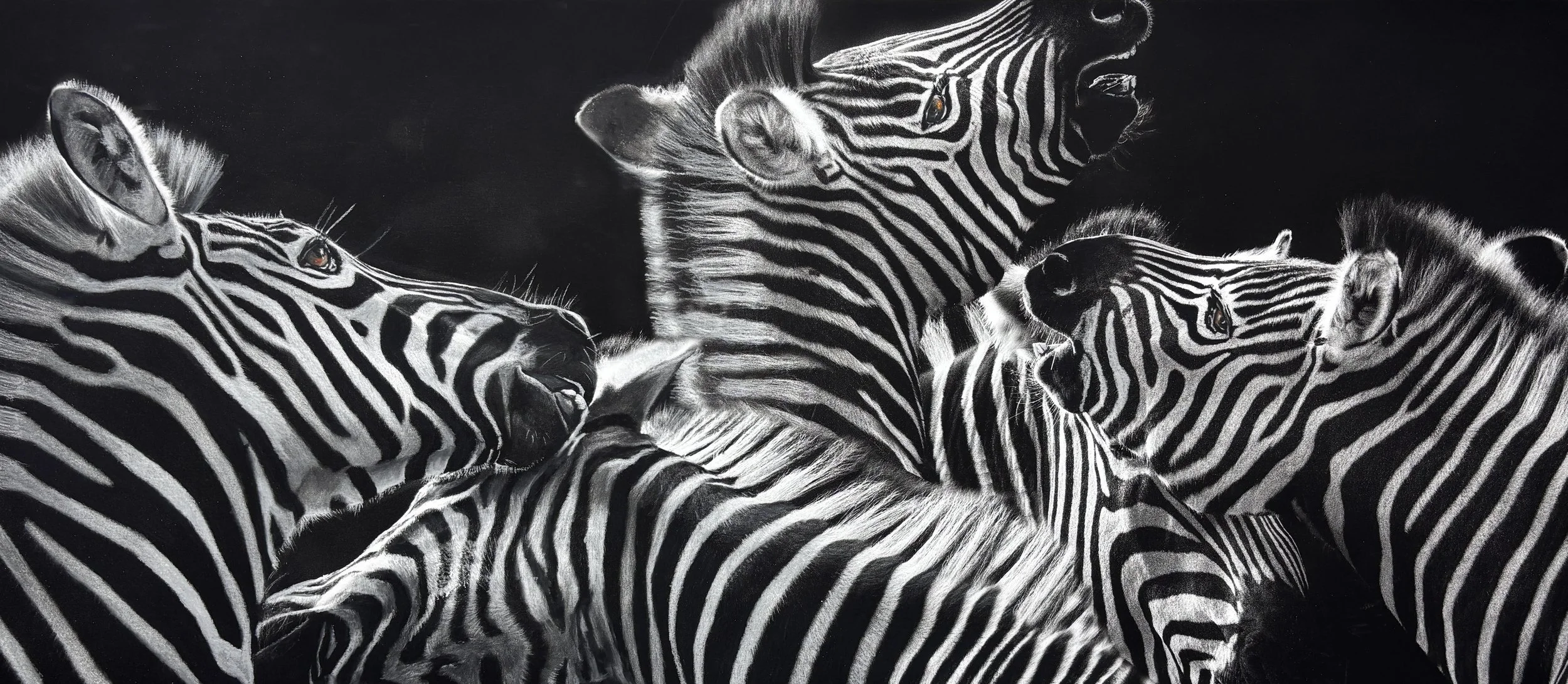 endangeredinks zebras 2.jpg