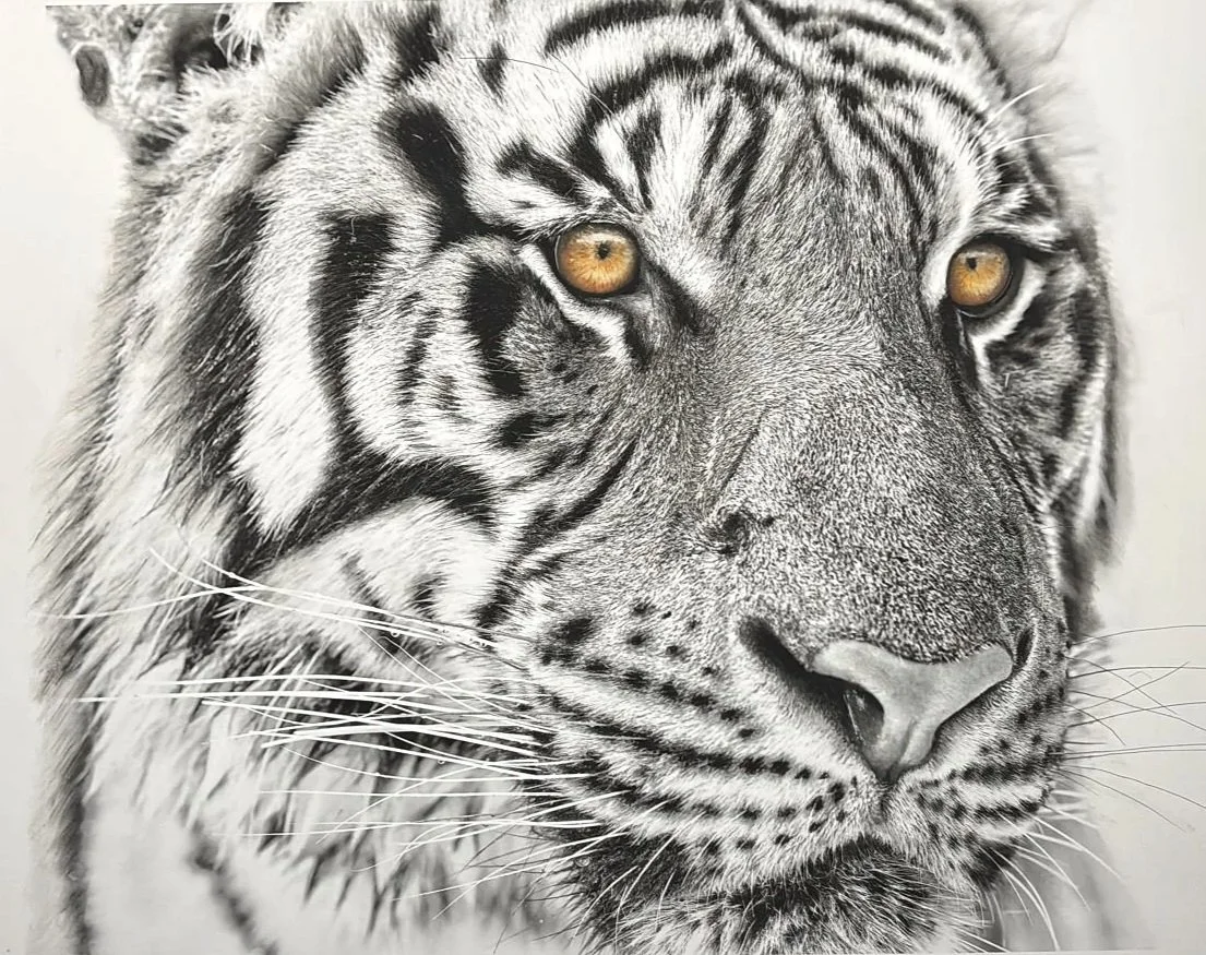 ENDANGERED INKS AMBER GAZE