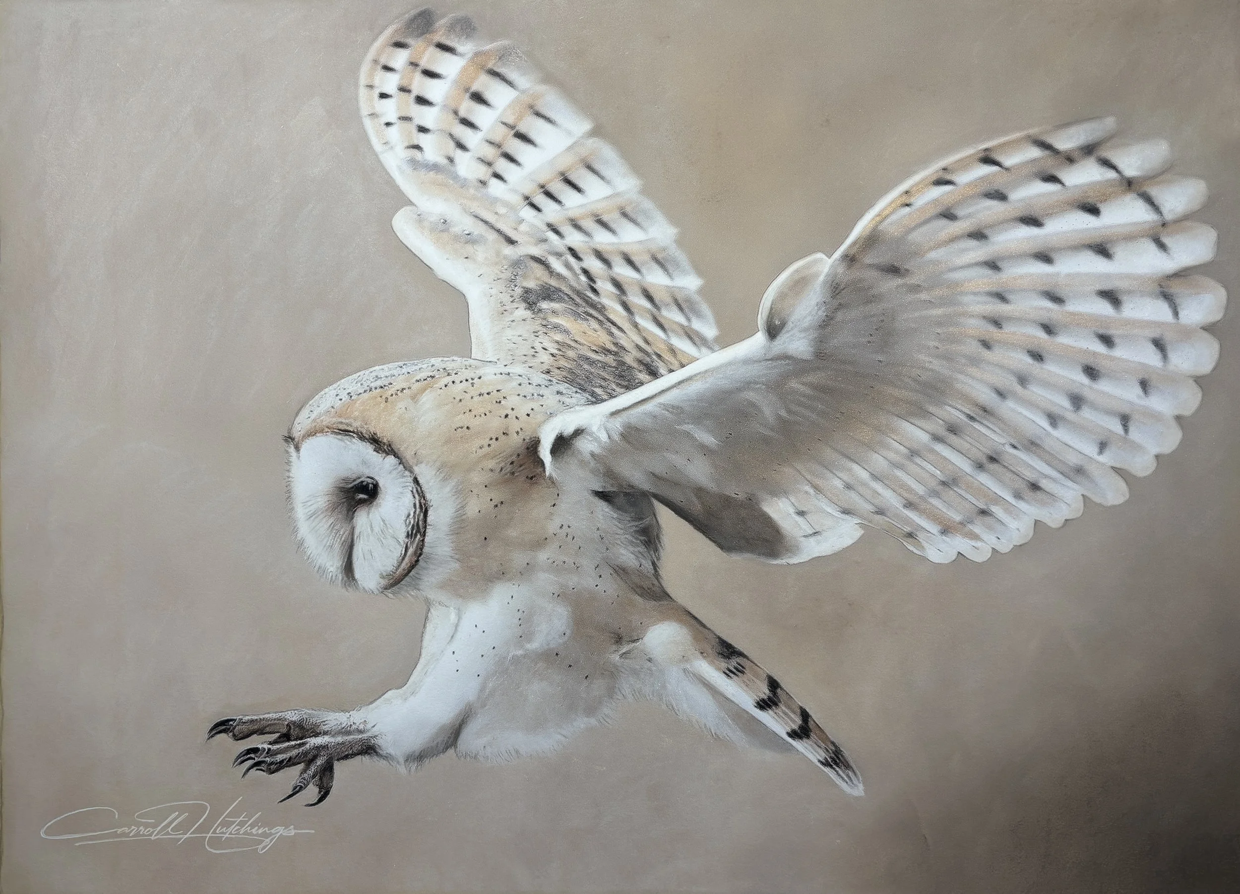 eNDANGERED iNKS BARN OWL - THE FLIGHT.jpg