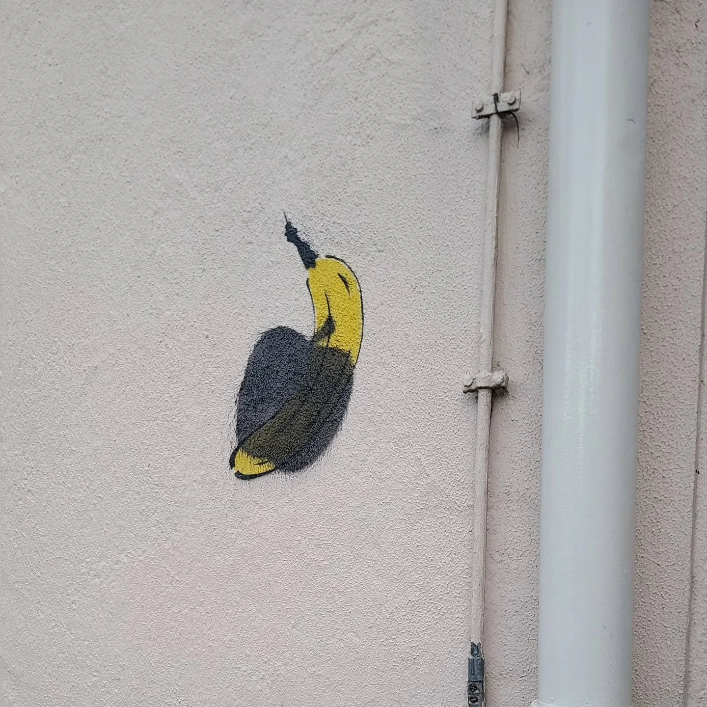 #essen
#obst
@maekkelae 
#fruity 
#folknoir