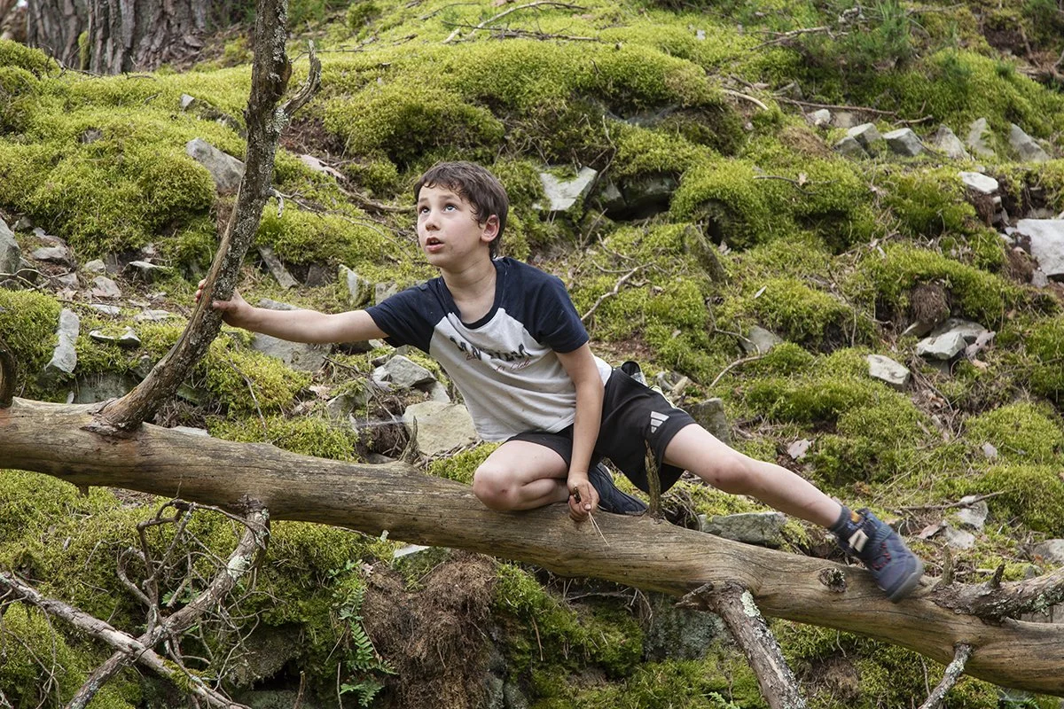 A young boy with brown hair climbing a fallen tree in a mossy, rocky forest.
