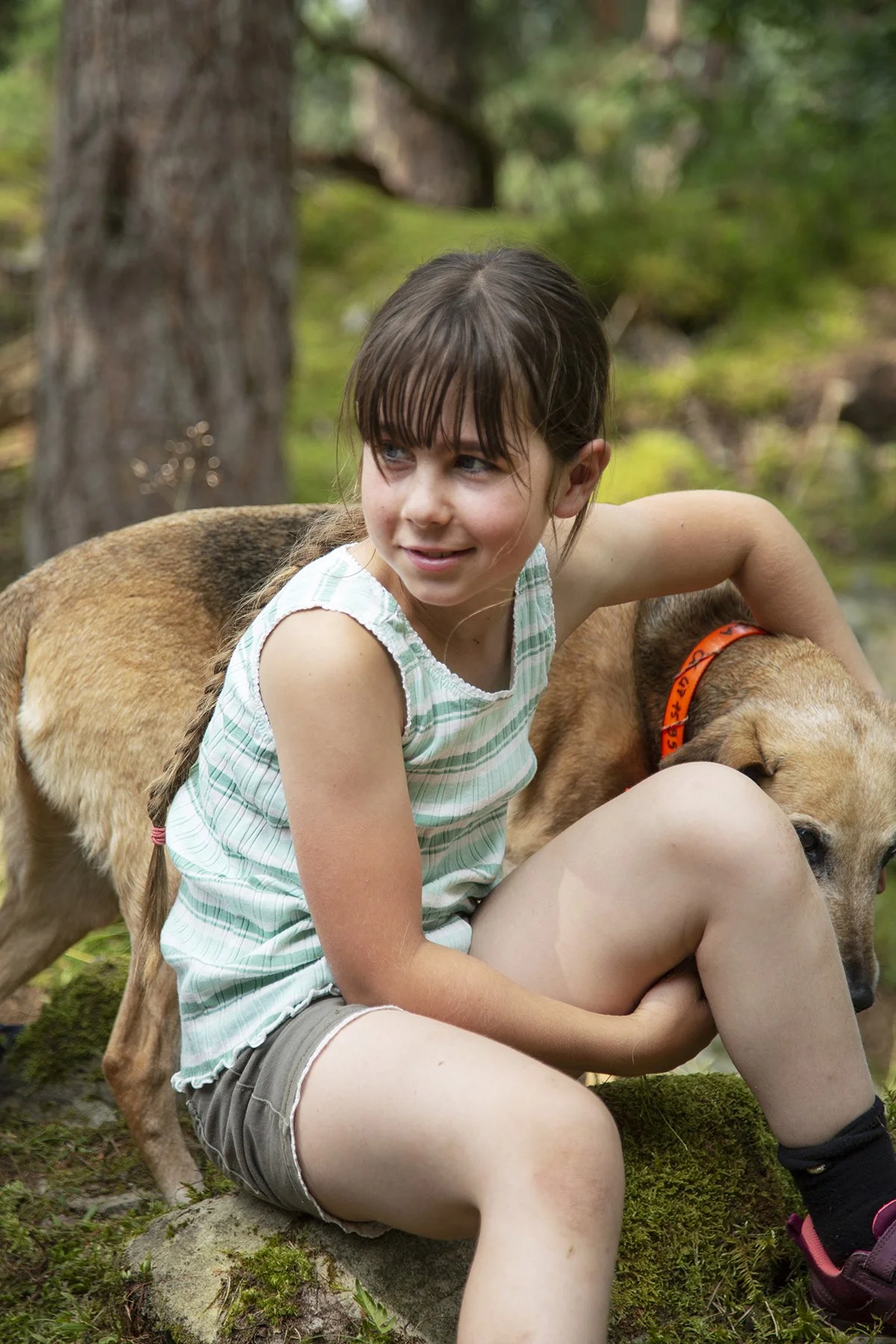 A young girl with brown hair and bangs, wearing a light green and white striped sleeveless top and gray shorts, sitting outdoors on a moss-covered rock in a forest, next to a large dog with a tan coat and a red collar.
