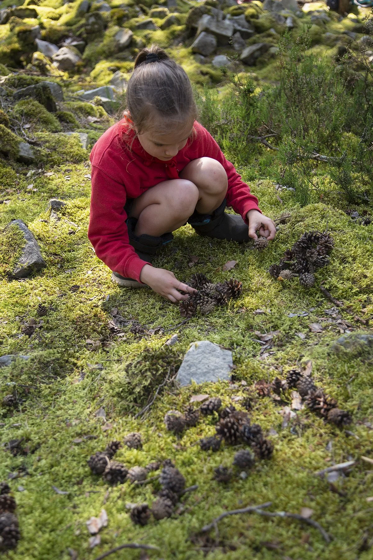 A young girl with a ponytail, wearing a red jacket and black boots, crouching on mossy ground in a forest, examining and touching pinecones scattered on the ground.