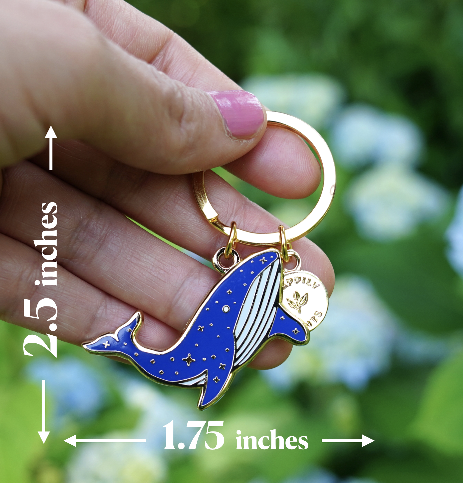 WHALE KC DIMENSIONS.png