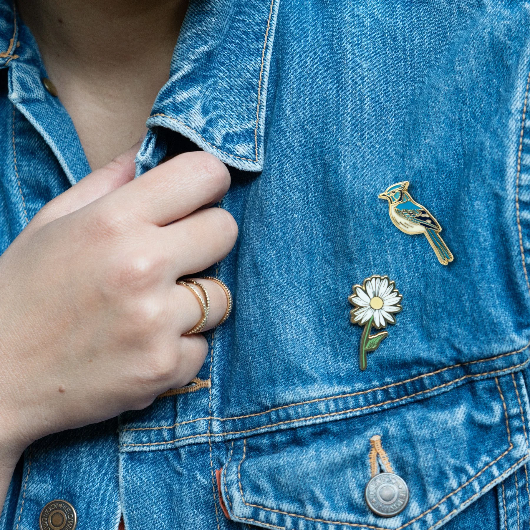 BLUE JAY BIRD PIN_LIFESTYLE MODEL copy.jpg