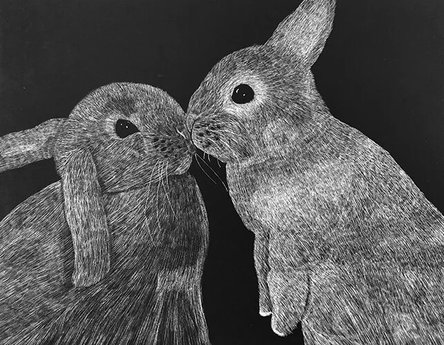 Bunnies.jpeg