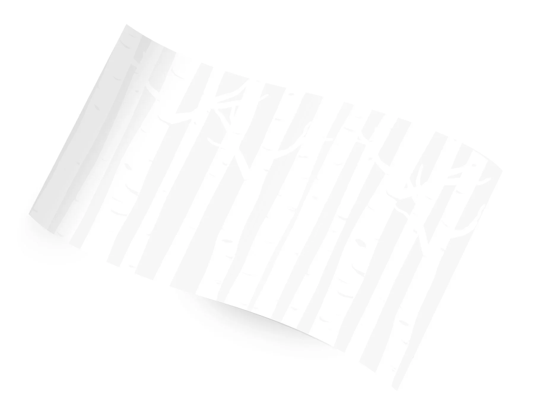 RC-1186 White Birch on Sheer