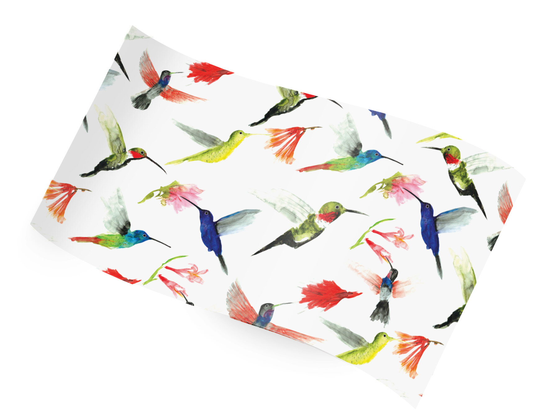 RC-1192 Hummingbirds