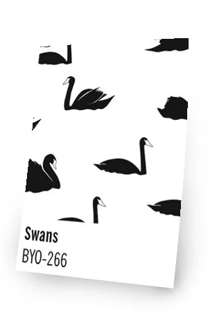 BYO-266 Swans.jpg