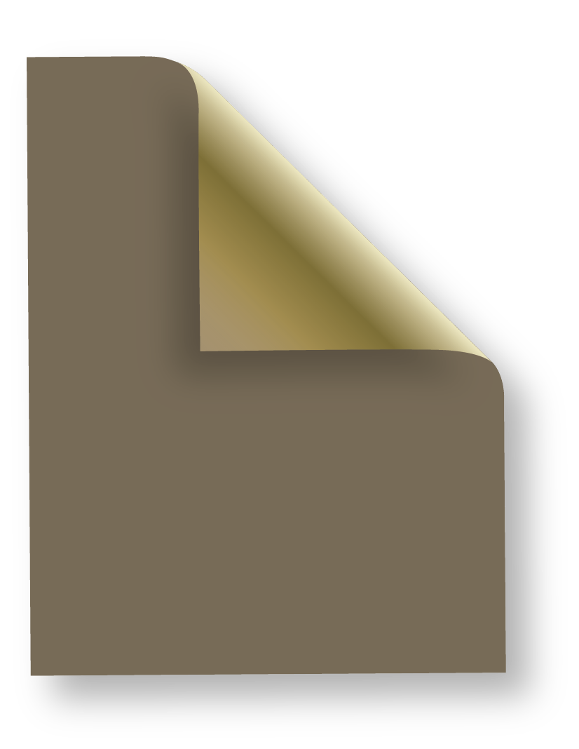 PM-370 Chocolate/Gold