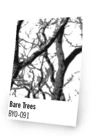 BYO-091 Bare Trees.jpg