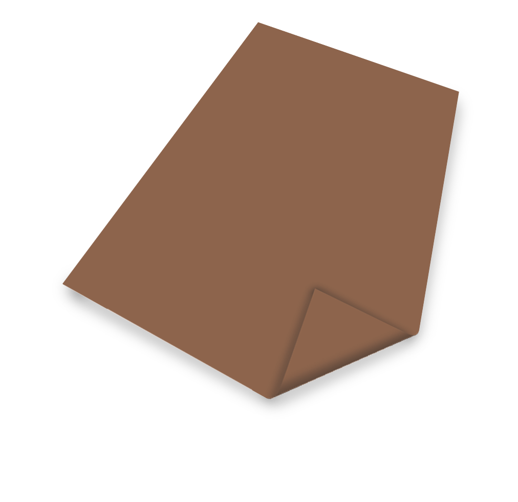 RC-120 Double Bronze