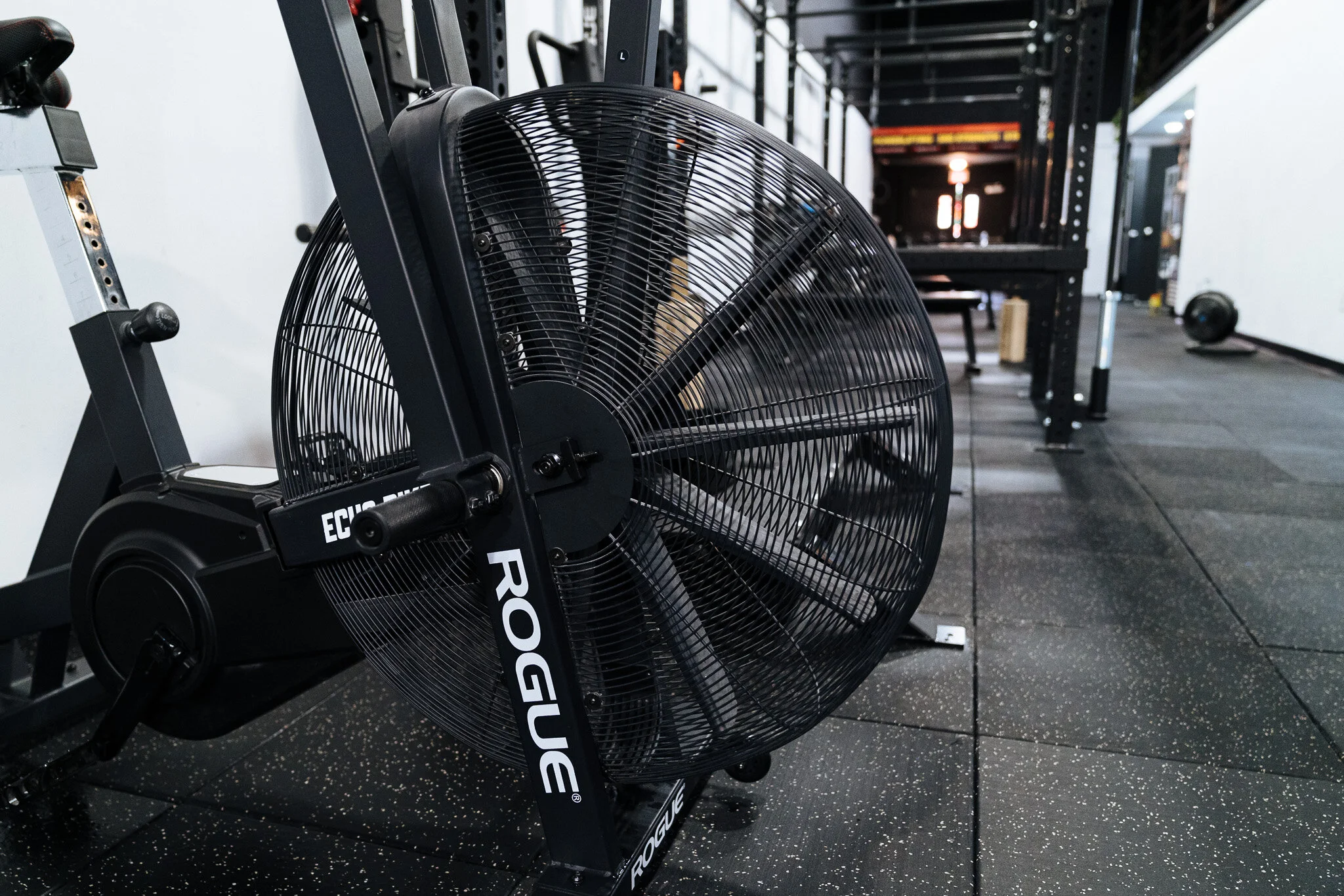 SNS Strength Squats and Science 16X9-09984.jpg