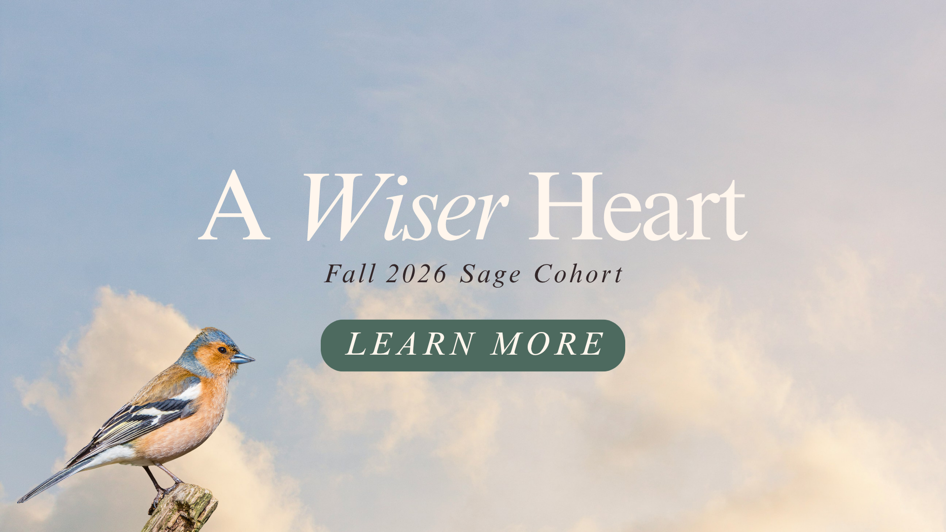 A Wiser Voice for Christian Fall Ministry Cohort (6).png