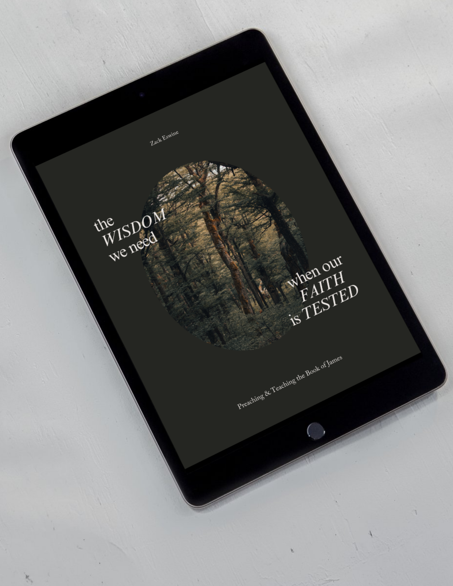 The Wisdom We Need E-book (1).png