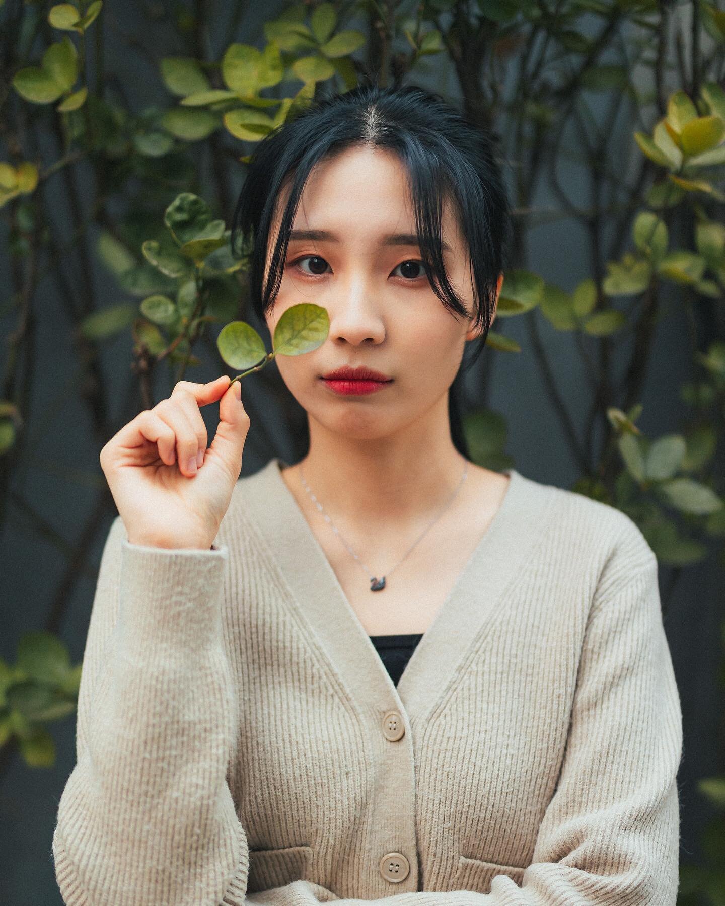 서울의 봄