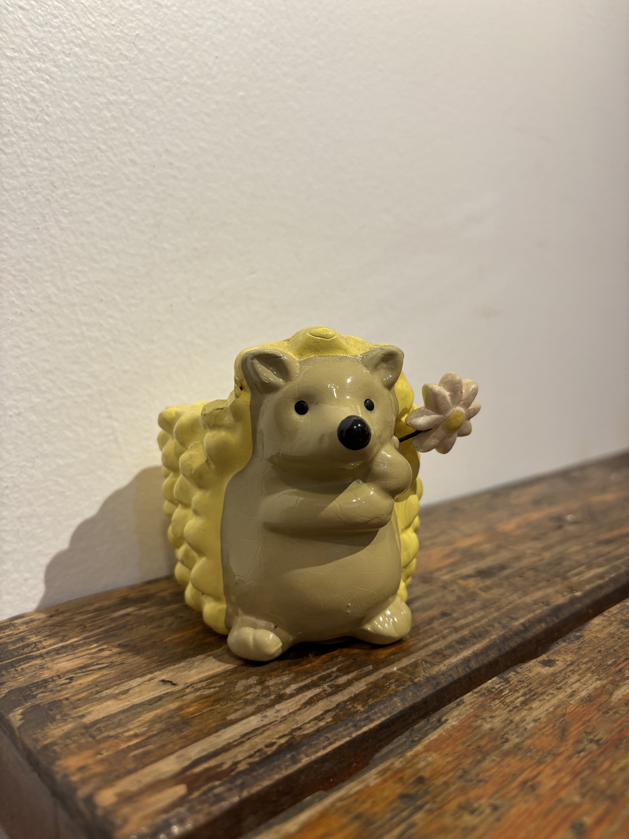 IMG_9119.jpeg