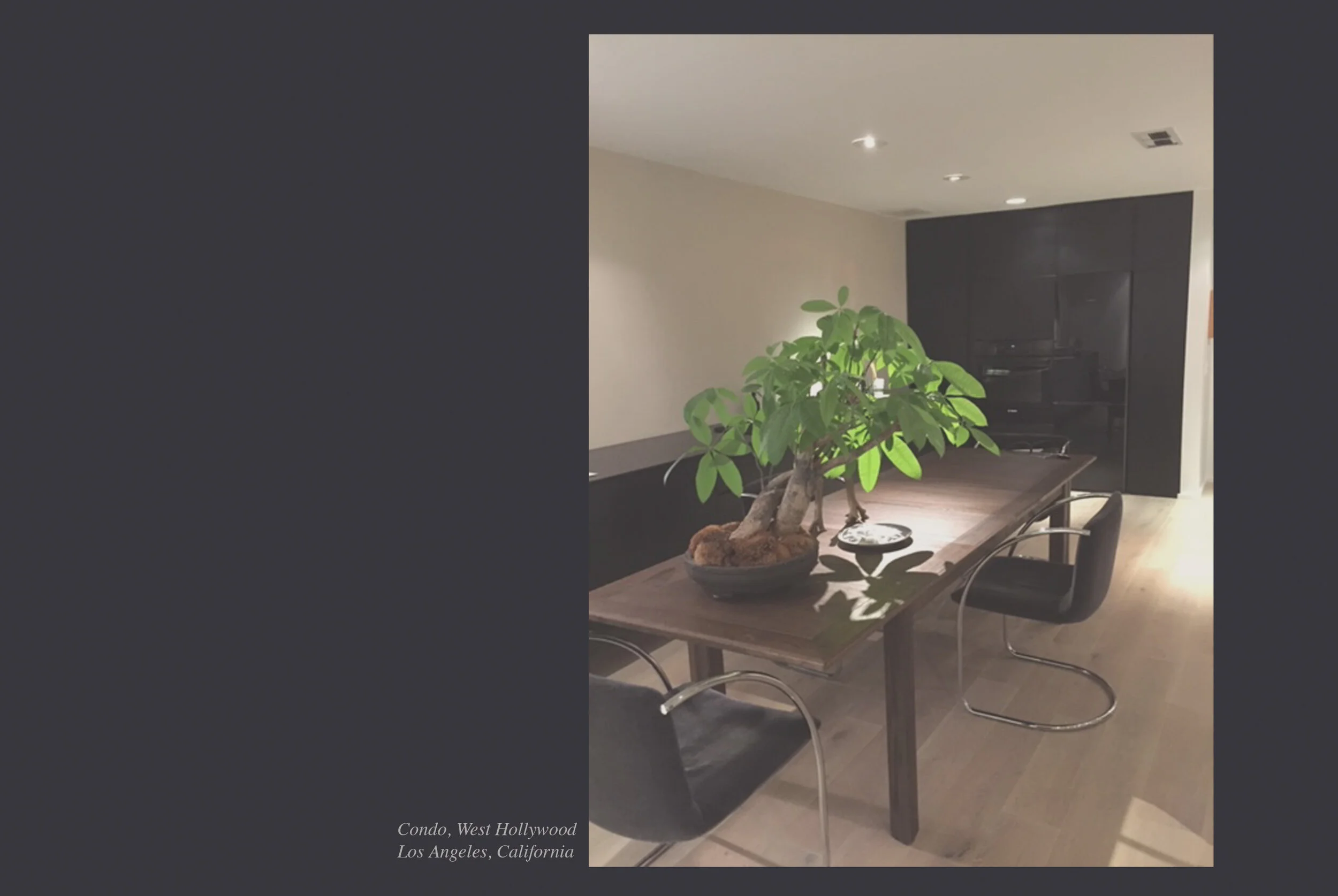 Interior of a condo in West Hollywood, Los Angeles, California with a dining area featuring a wooden table, black chairs, a large potted plant, a black entertainment center with a television, and recessed ceiling lights.