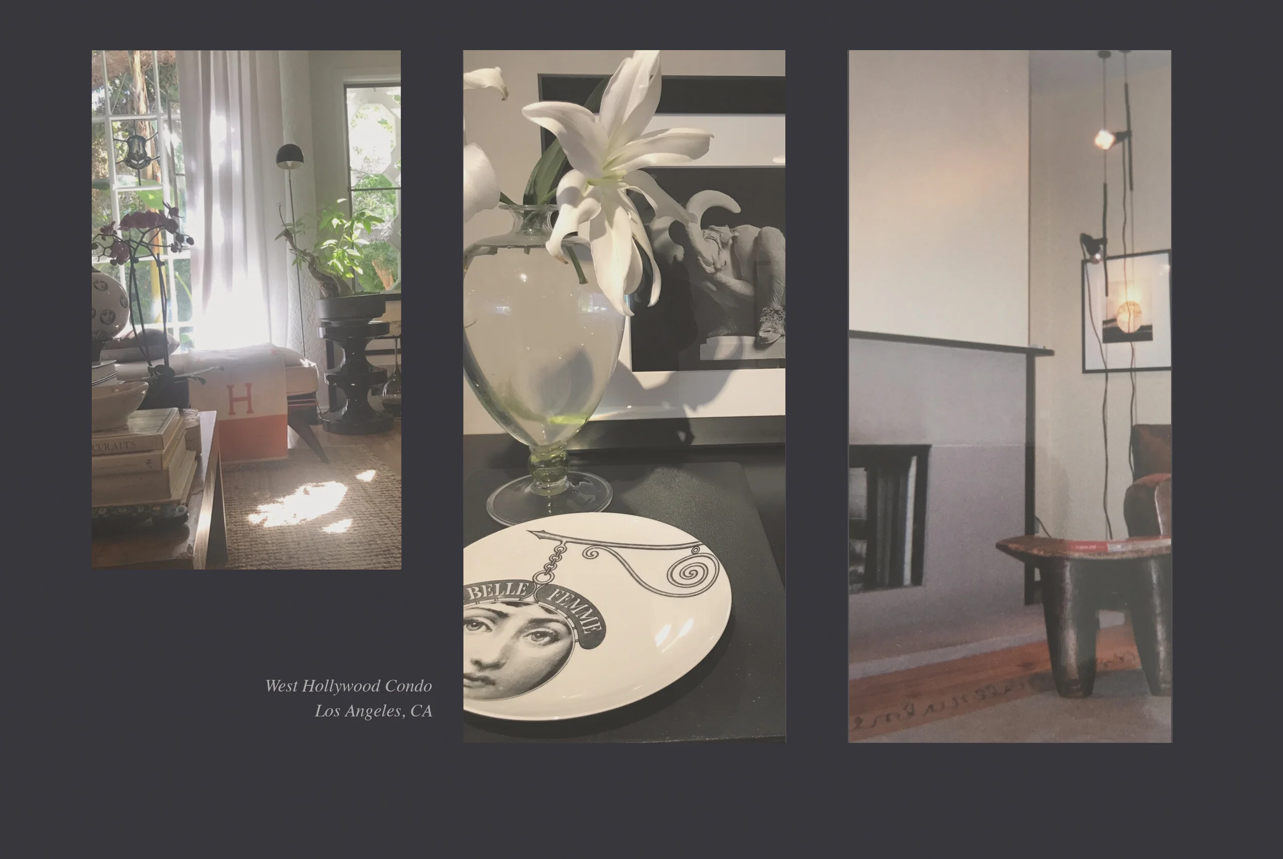 Interior view of a condo with sunlight streaming through windows, featuring plants, books, and decorative items on shelves, and a side table with objects, in West Hollywood, Los Angeles, CA.
