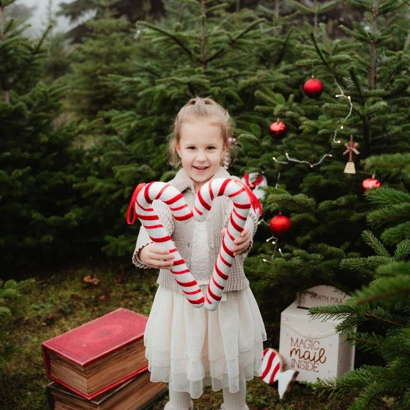 Kar&aacute;csonyi var&aacute;zs a fenyvesben... 🎄🎁✨💕

 #kar&aacute;csonyifot&oacute;z&aacute;s #csal&aacute;dfot&oacute;z&aacute;s #karacsonyifotozas #balatonfotozas #csaladifotozas #csaladifoto #csal&aacute;difot&oacute;s #sunlensphoto #magyarfot