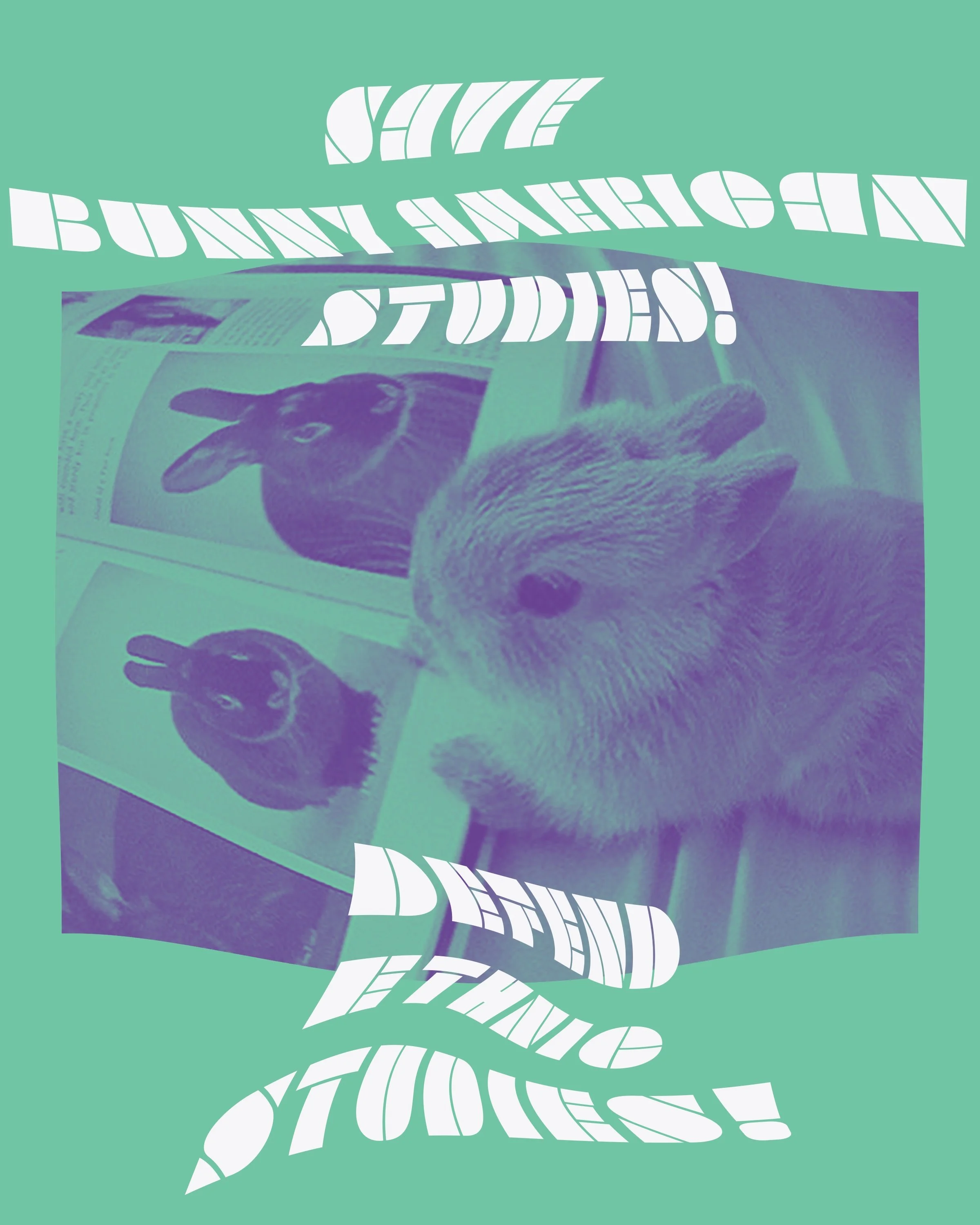 Save Bunny American Studies! / Defend Ethnic Studies!