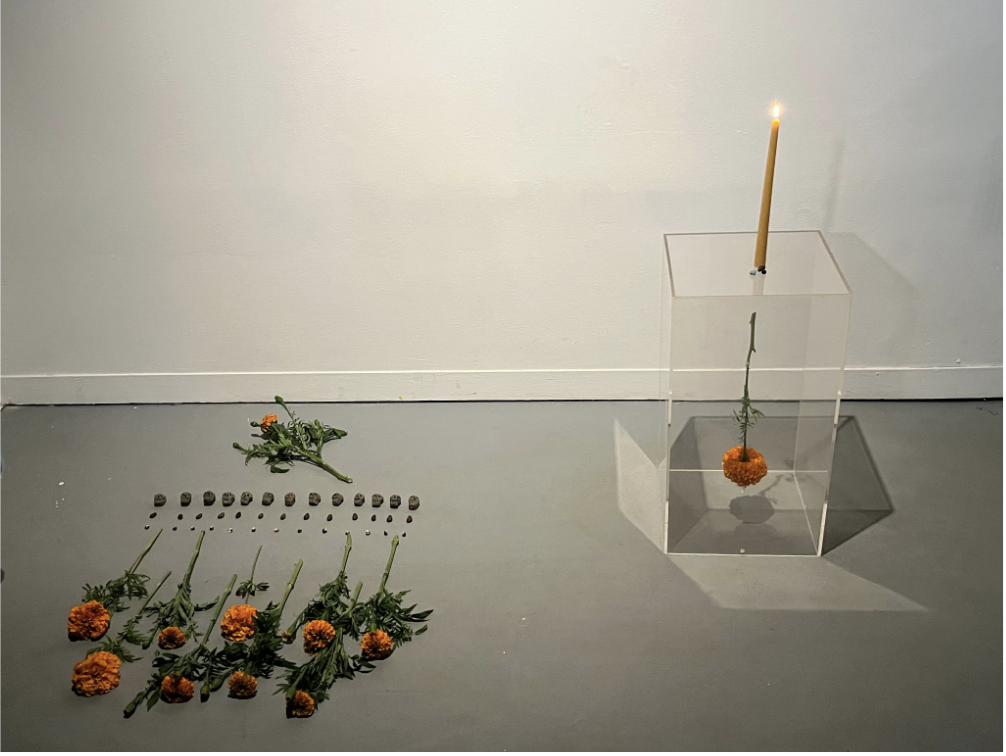 Thirteen Heavens (right down there at the thick of things, we discover the love that will not die)
2022
Dimensions variable
Marigolds, cacao seeds, dried blue mushito corn, skull shaped amaranth seed bombs made from bentonite clay and local soil, bee