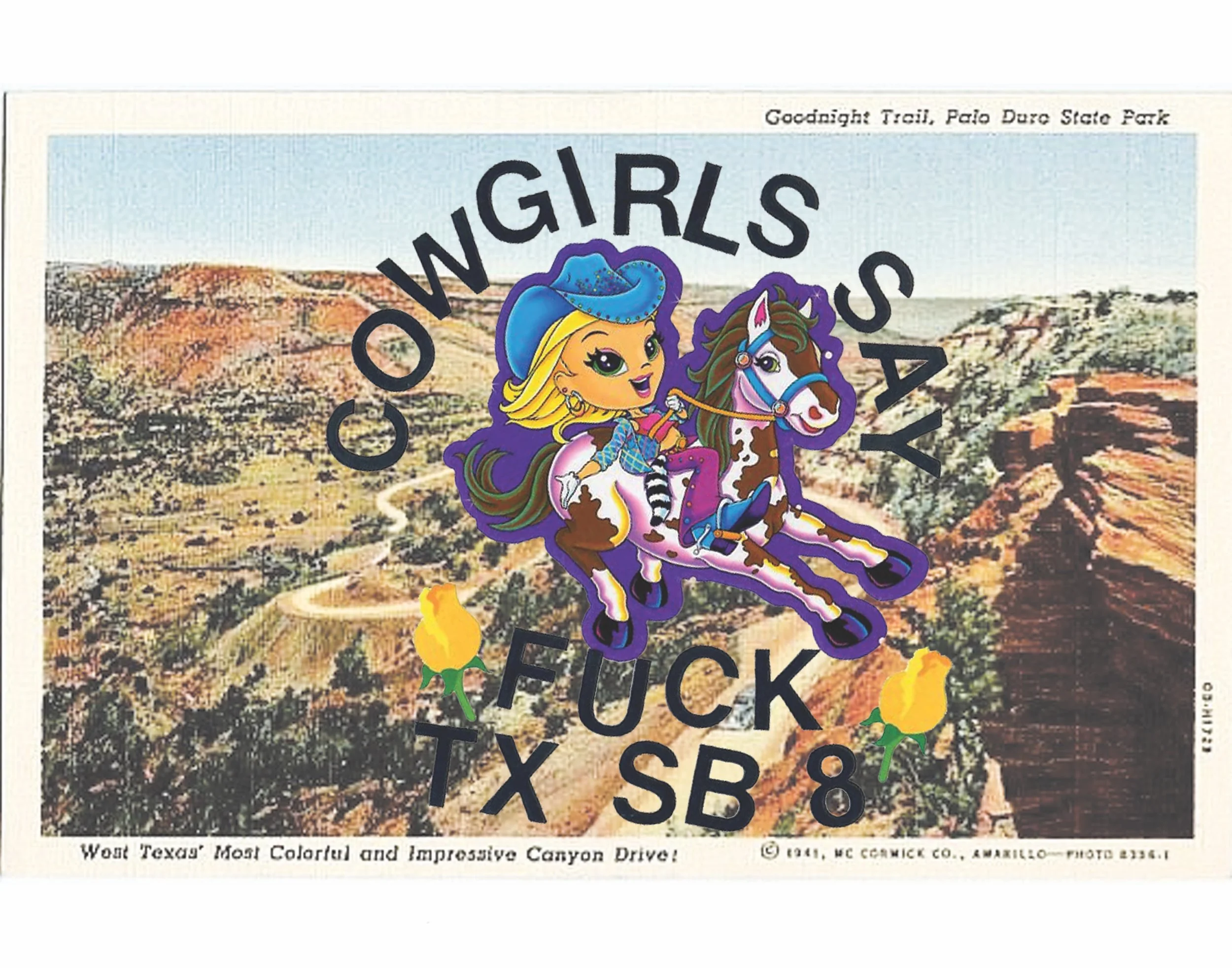 Cowgirls Say: Fuck TX SB 8