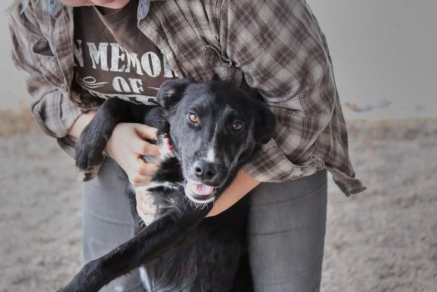 Winona Area Humane Society | Winona, MN
